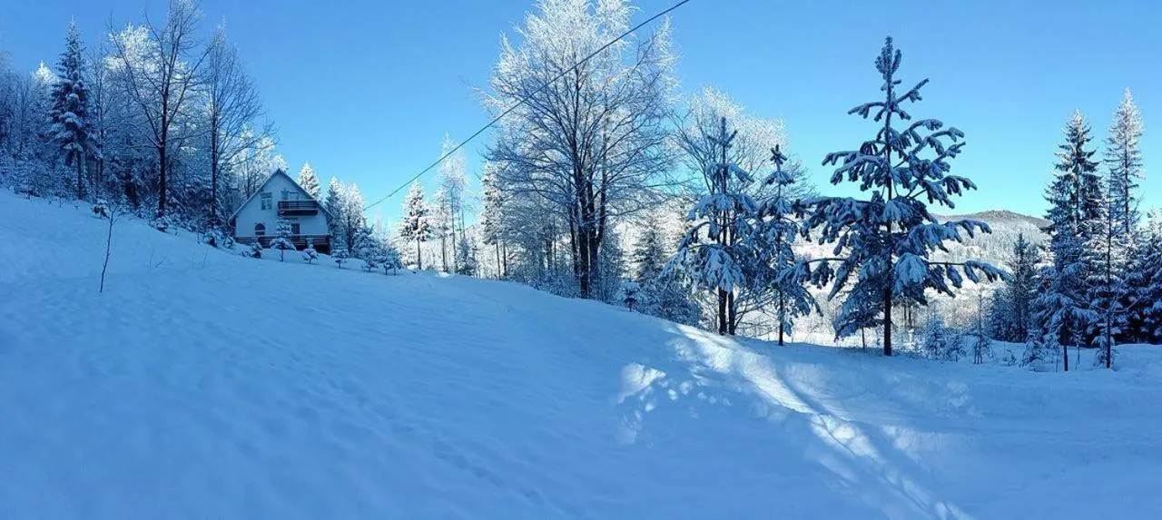 Day in Șoaptele pădurii & Căsuța din pădure