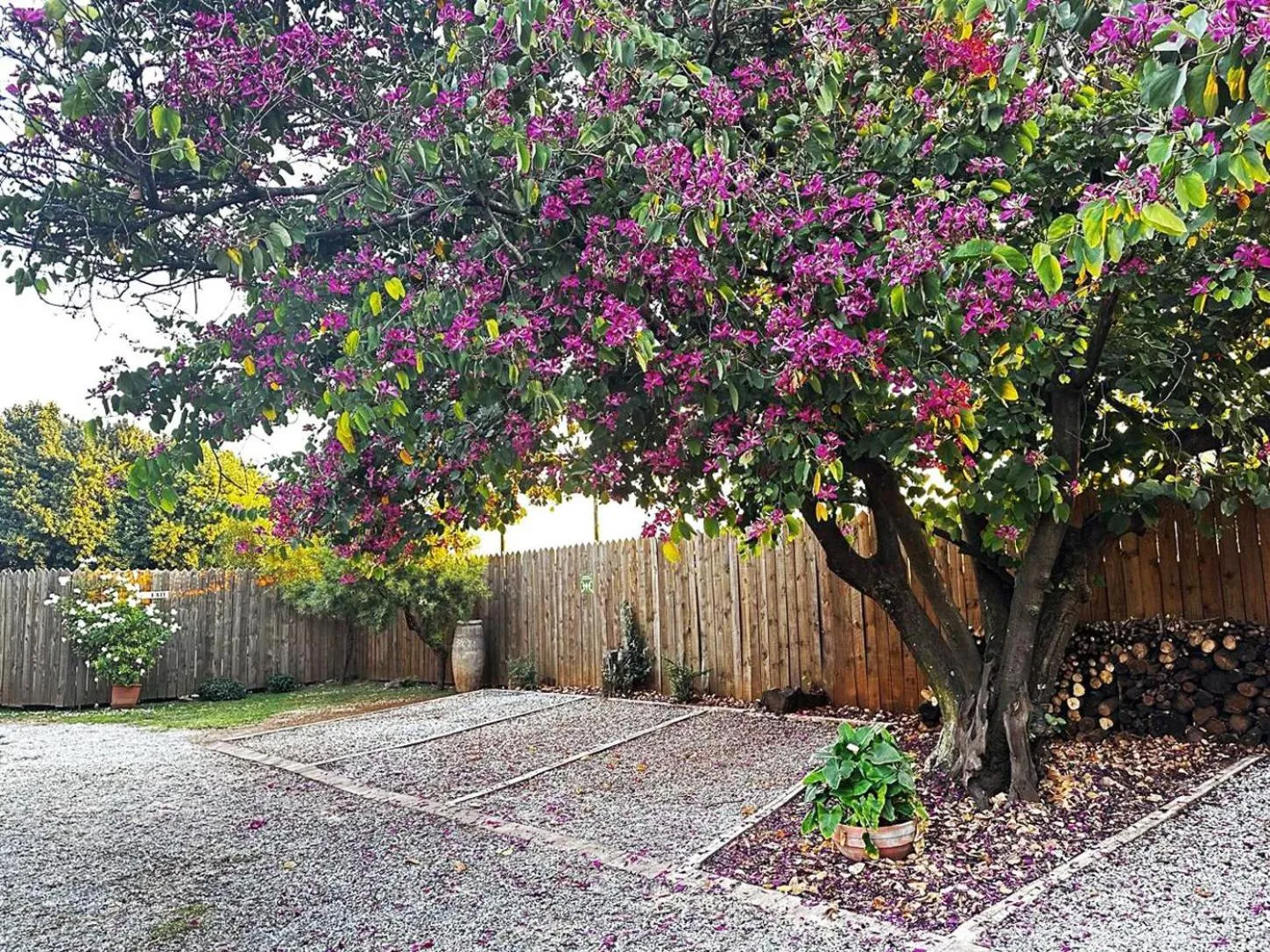 Property building in 59 On True North Guest Rooms