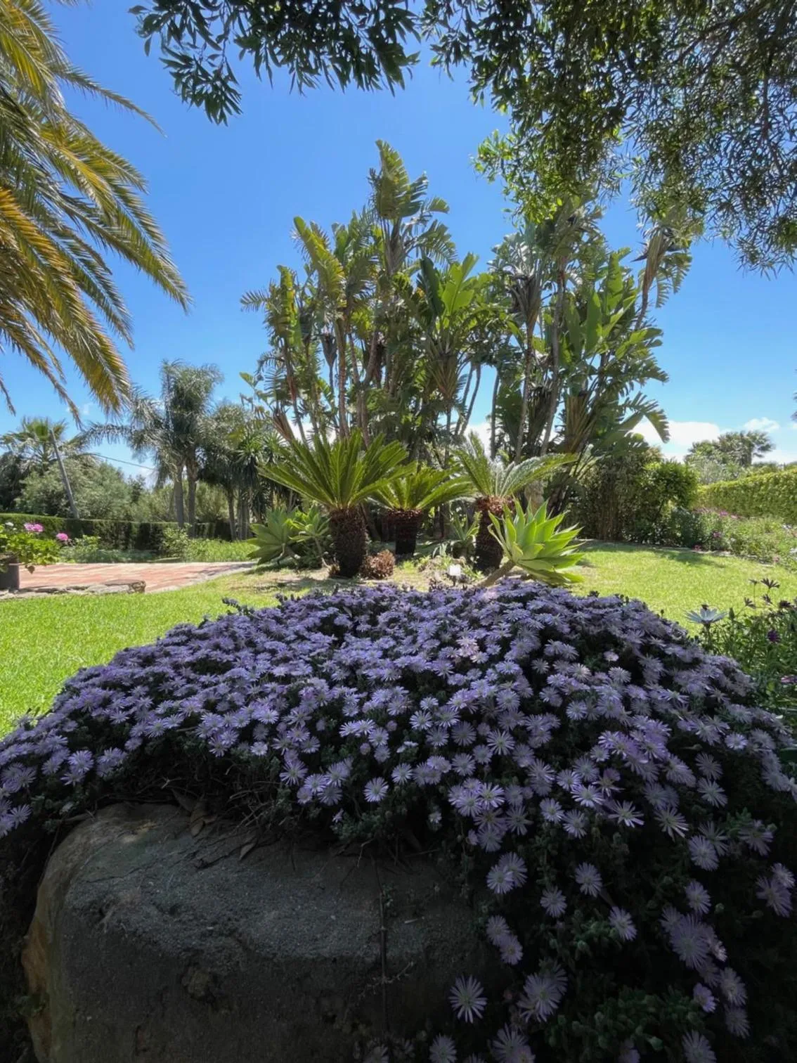 Garden in Hotel La Peña