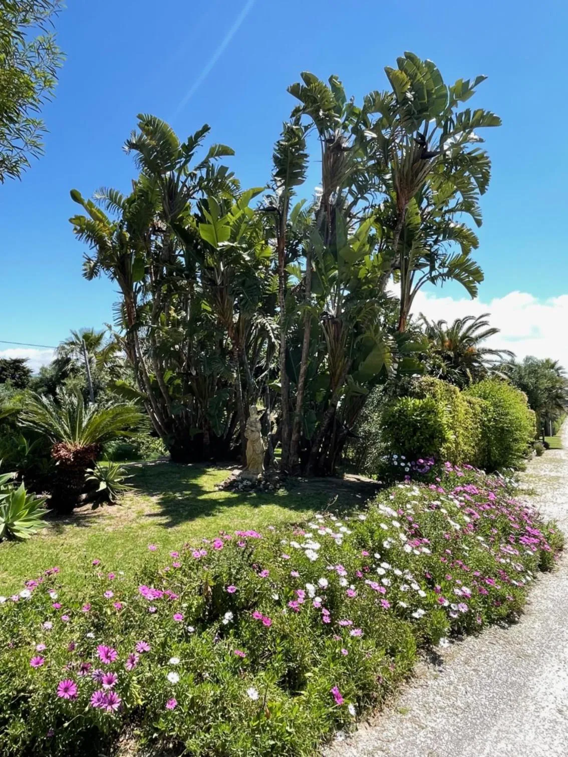 Garden in Hotel La Peña