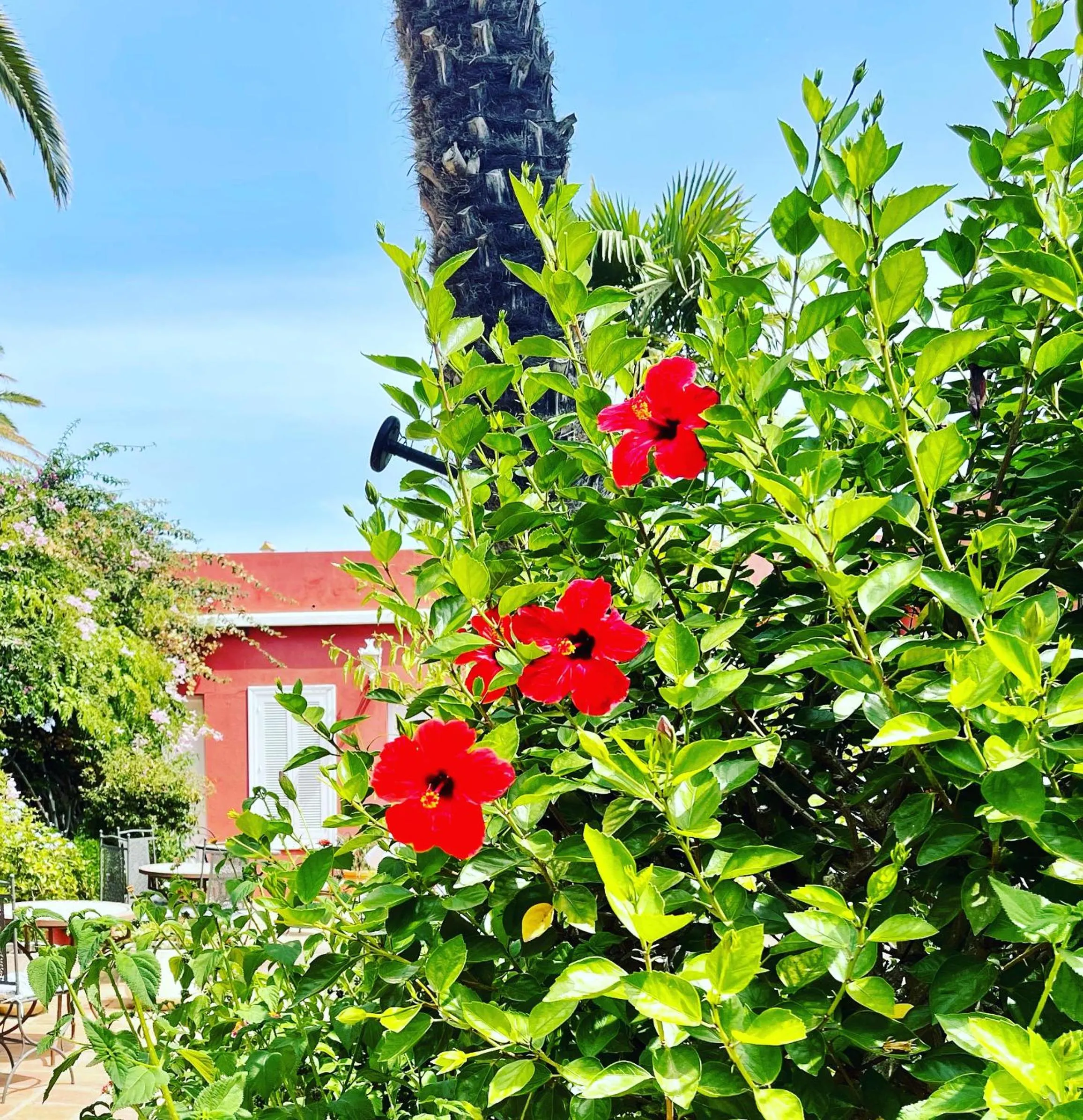 Patio in Hotel La Peña