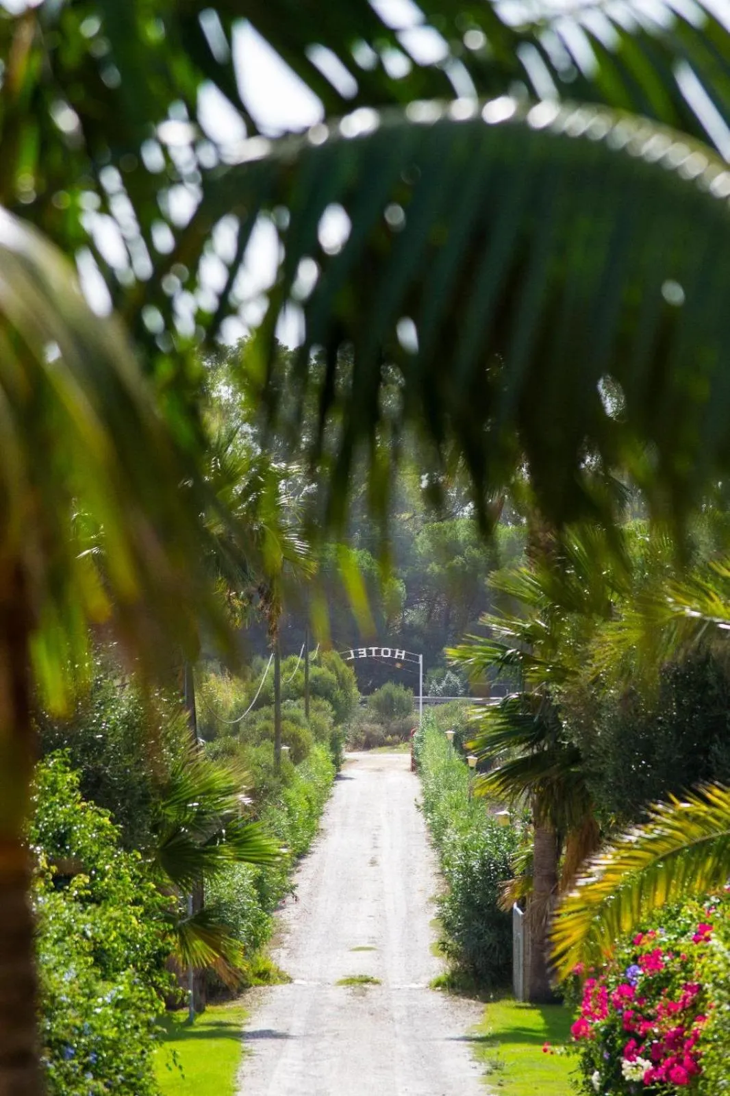 View (from property/room) in Hotel La Peña