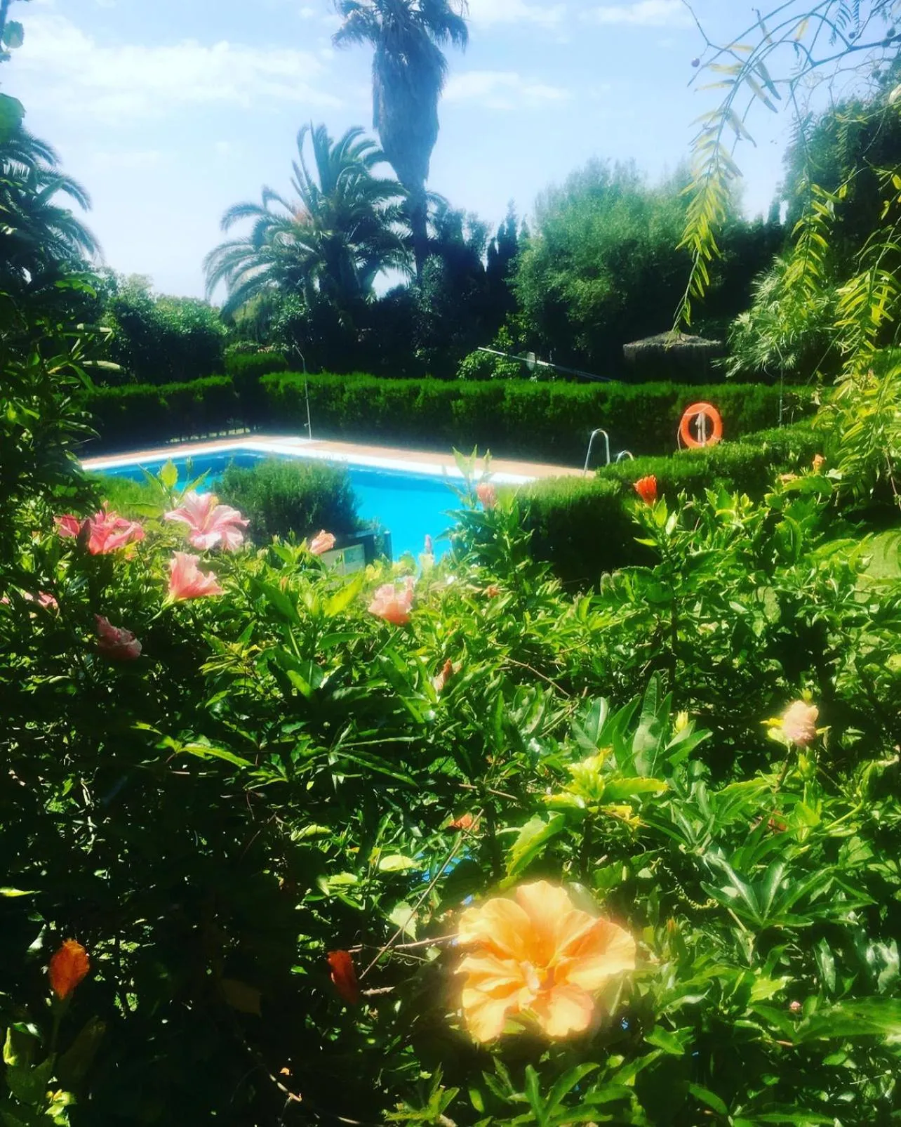 Swimming pool in Hotel La Peña
