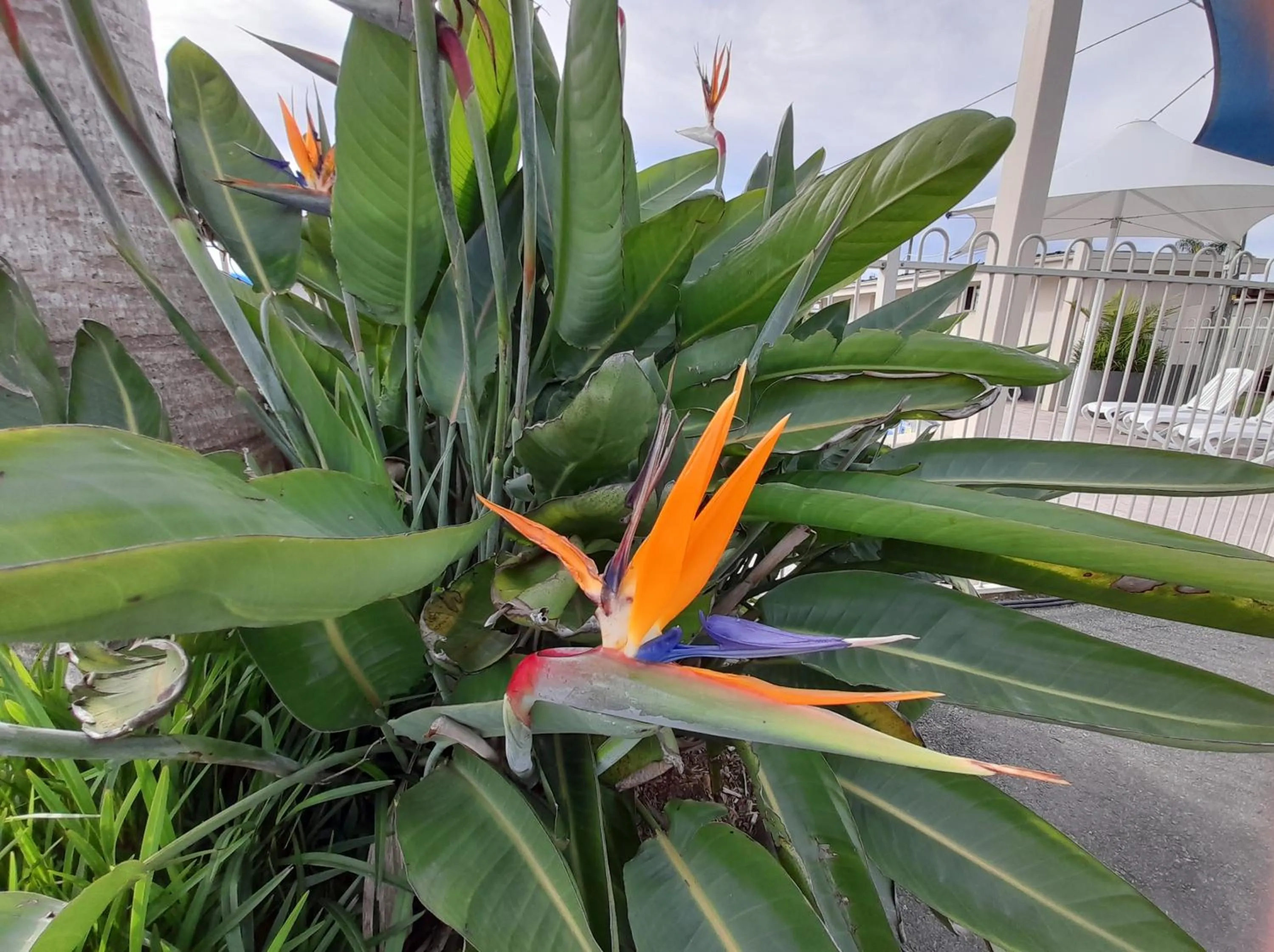 Garden in Clyde View Holiday Park
