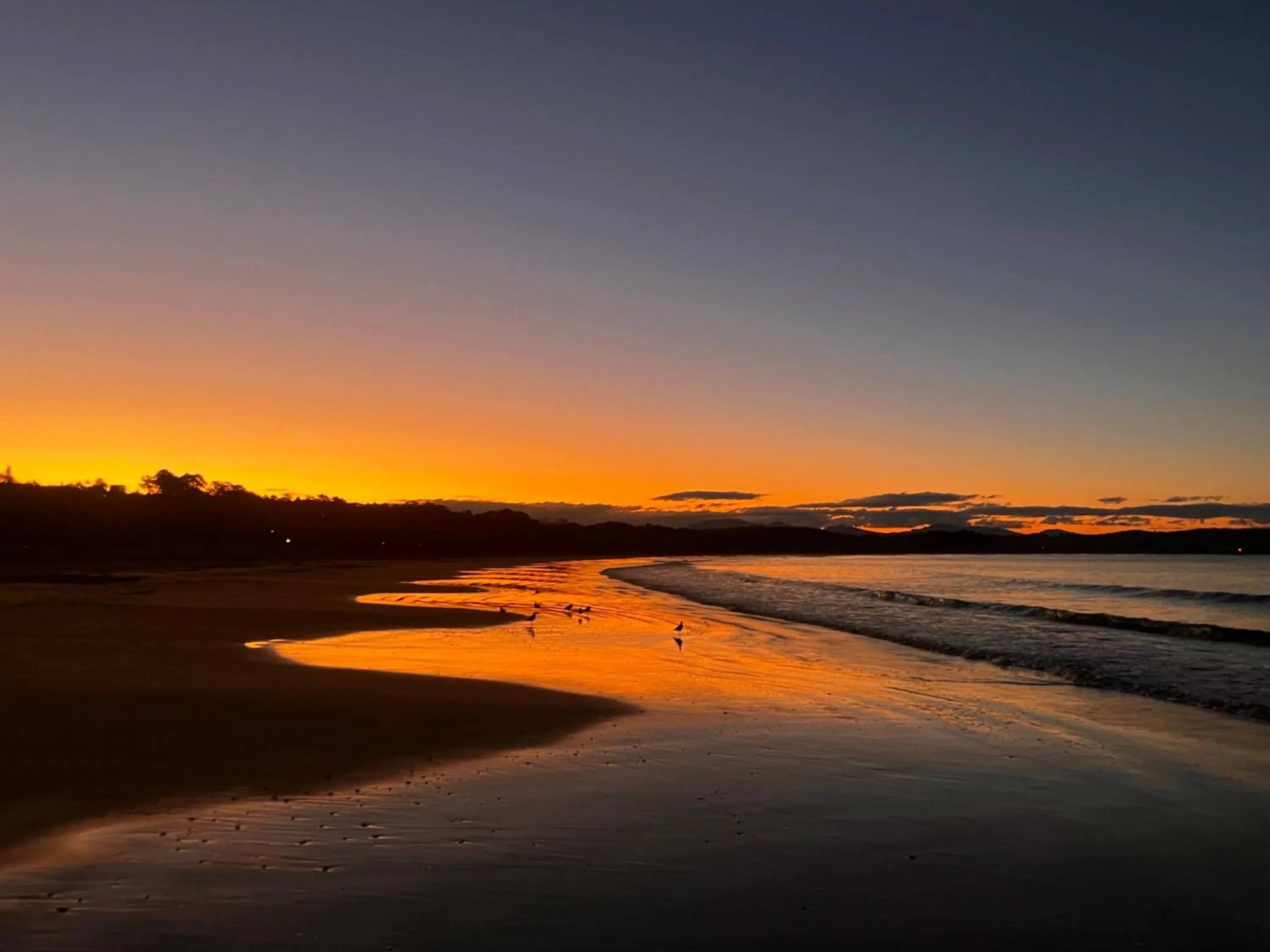 Natural landscape in Clyde View Holiday Park