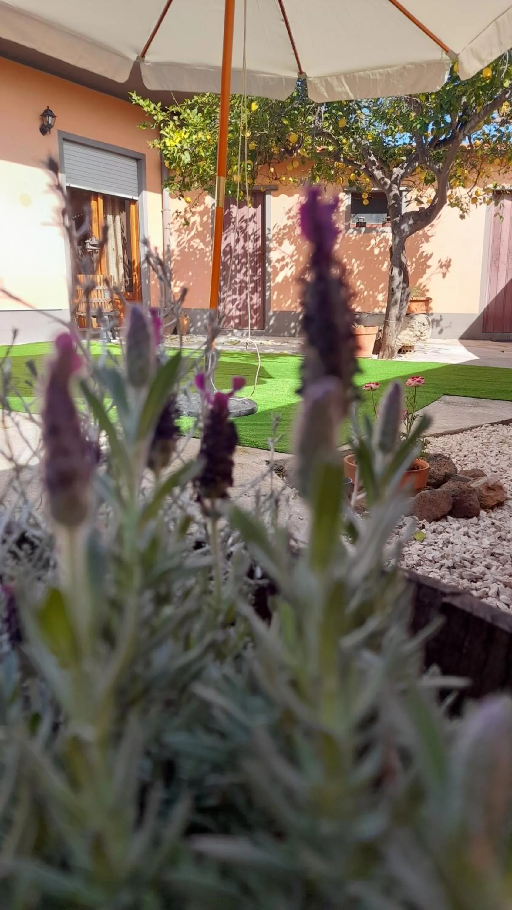 Garden in Su Fassoi Cabras