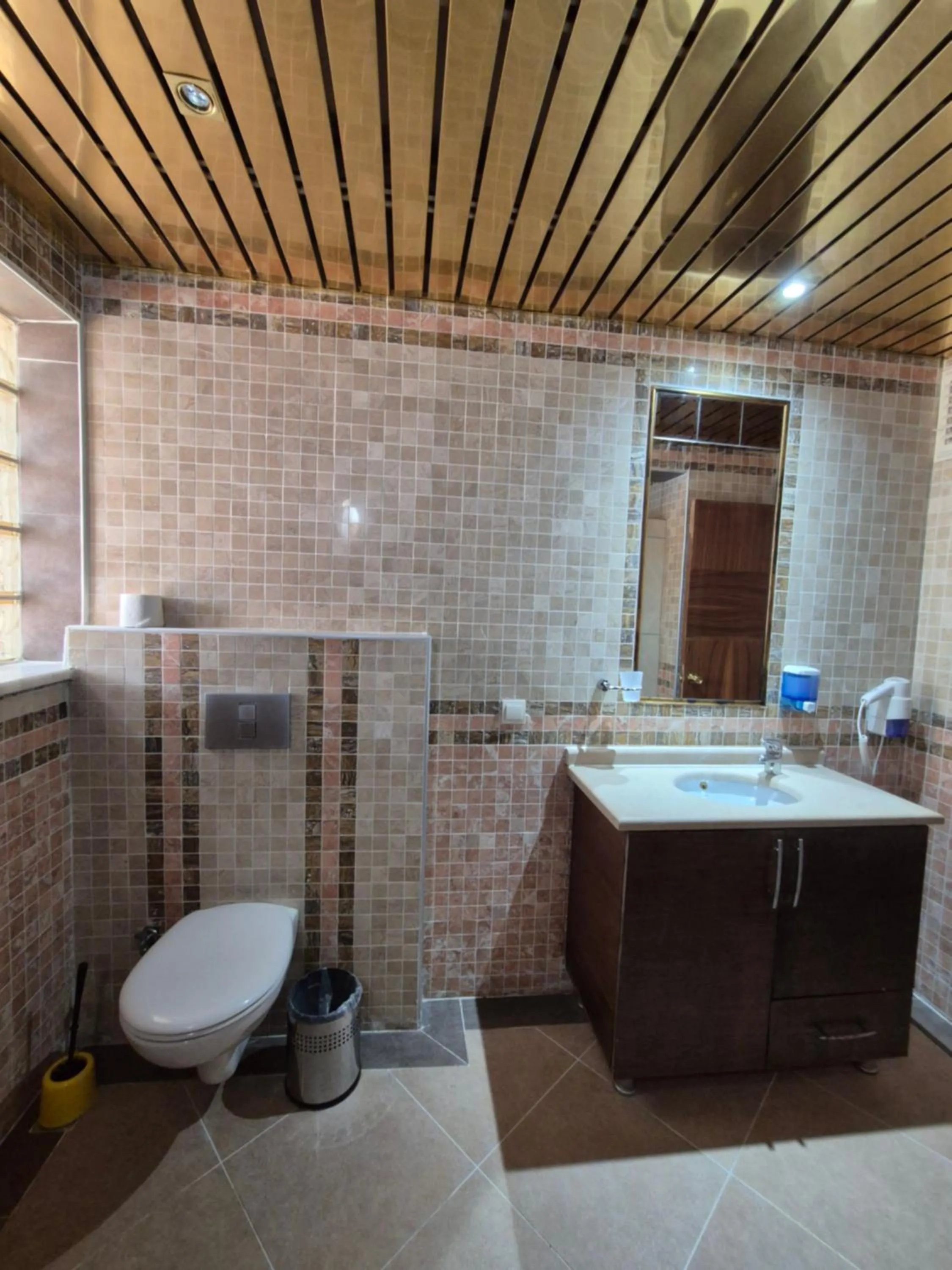 Toilet in Dinara Apart Hotel