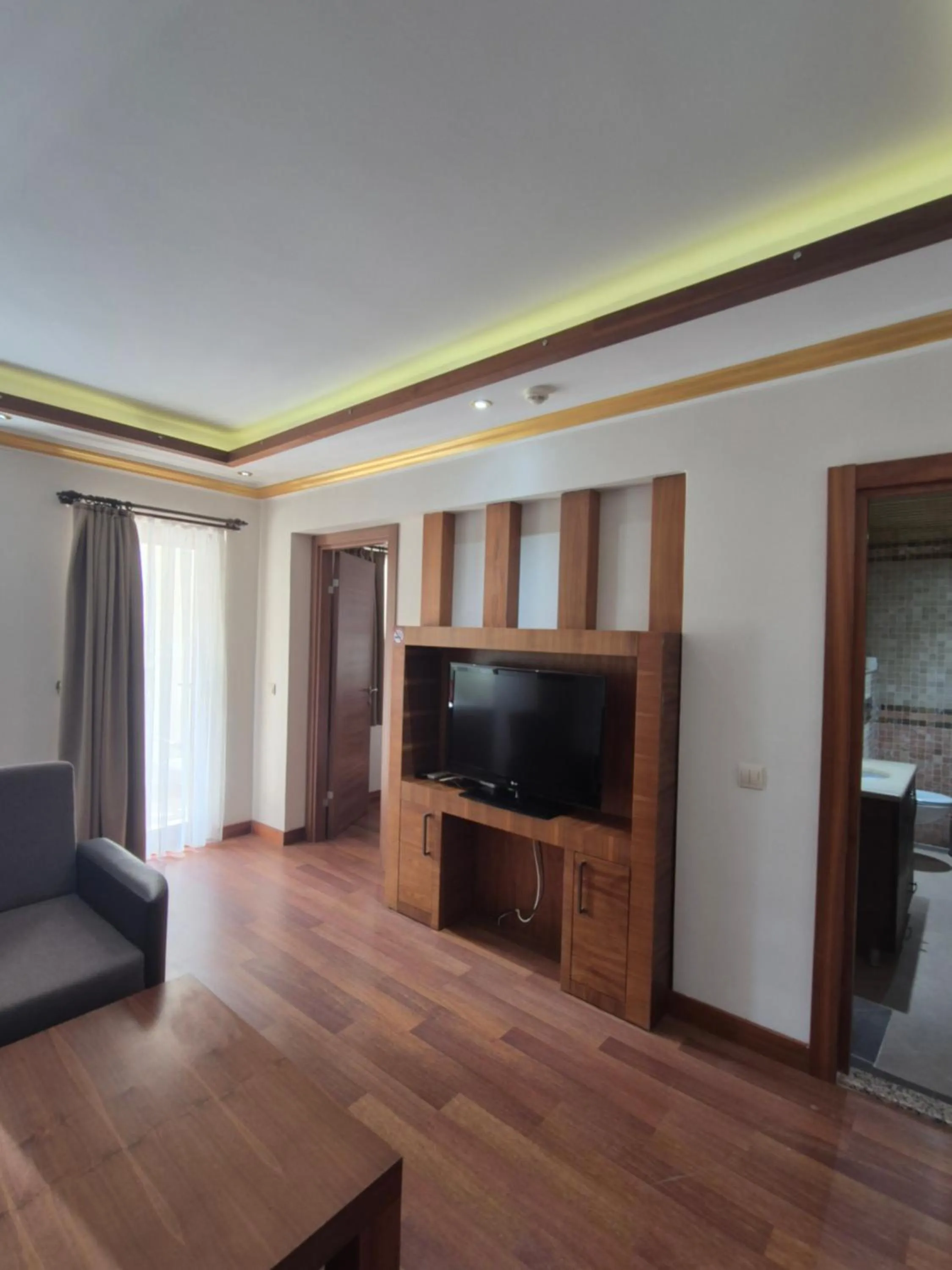 TV and multimedia in Dinara Apart Hotel