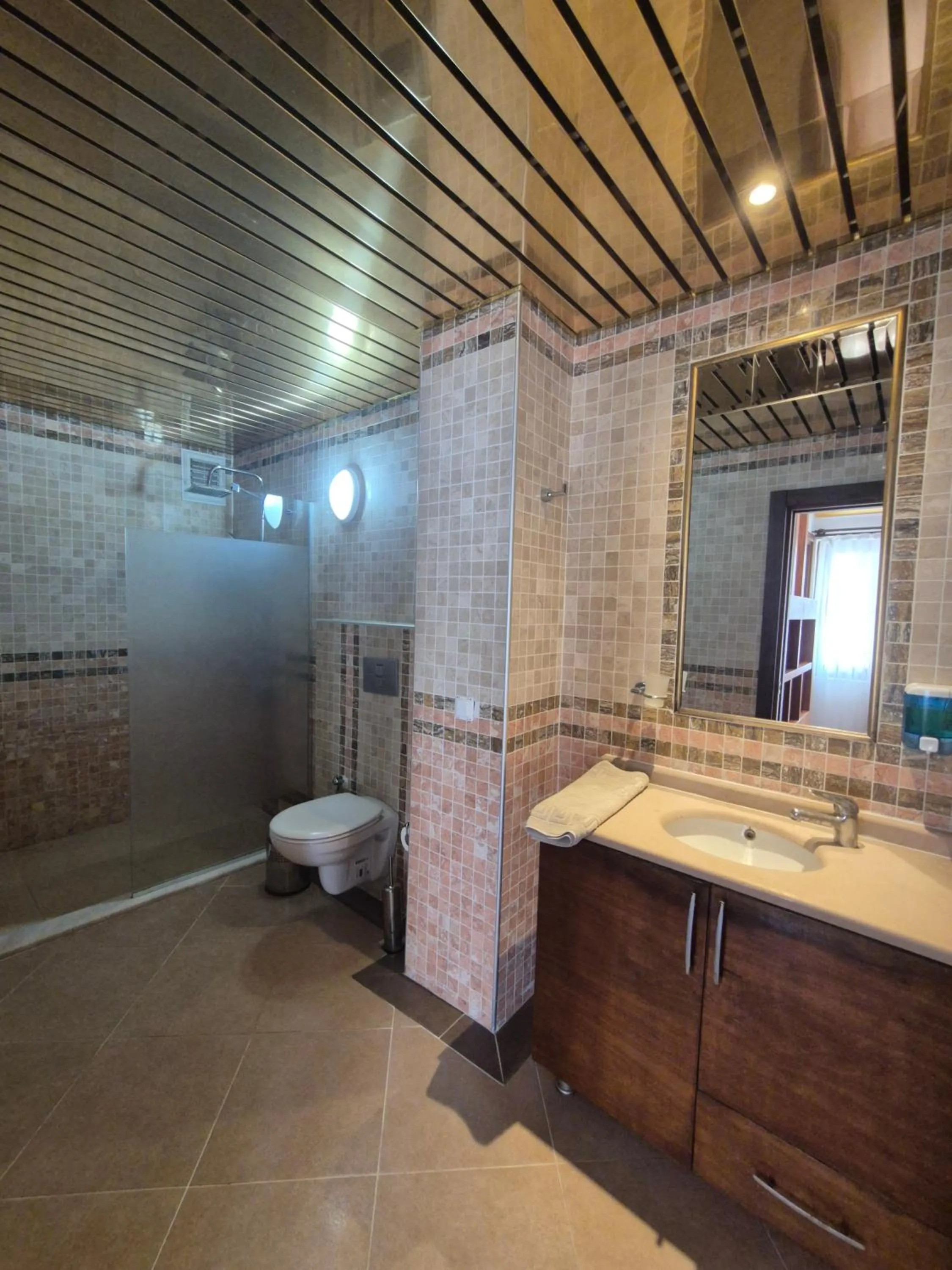 Shower in Dinara Apart Hotel