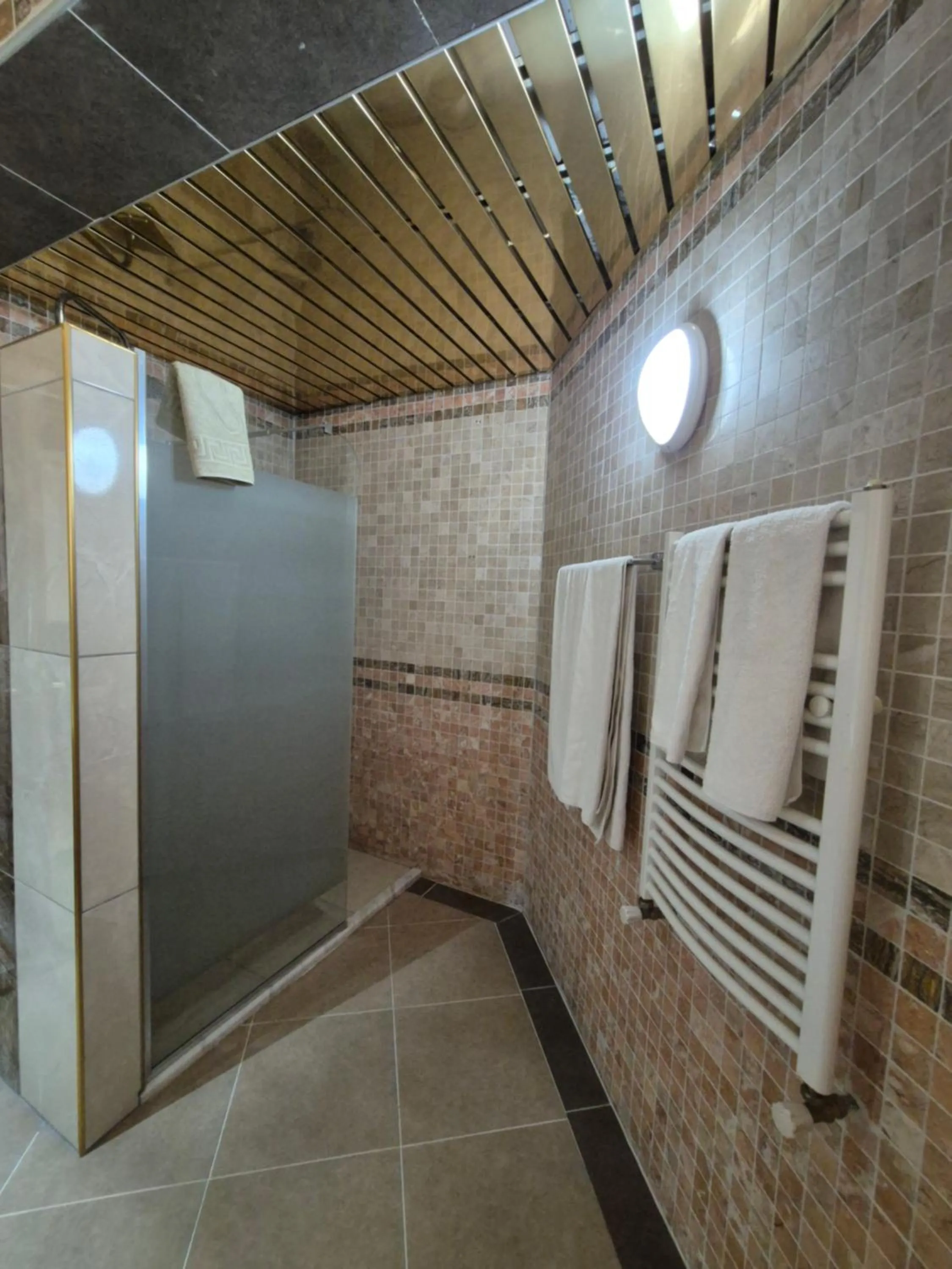 Shower in Dinara Apart Hotel