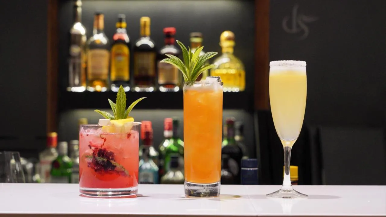 Lounge or bar in Destino Sur Hotel & Spa de Montaña