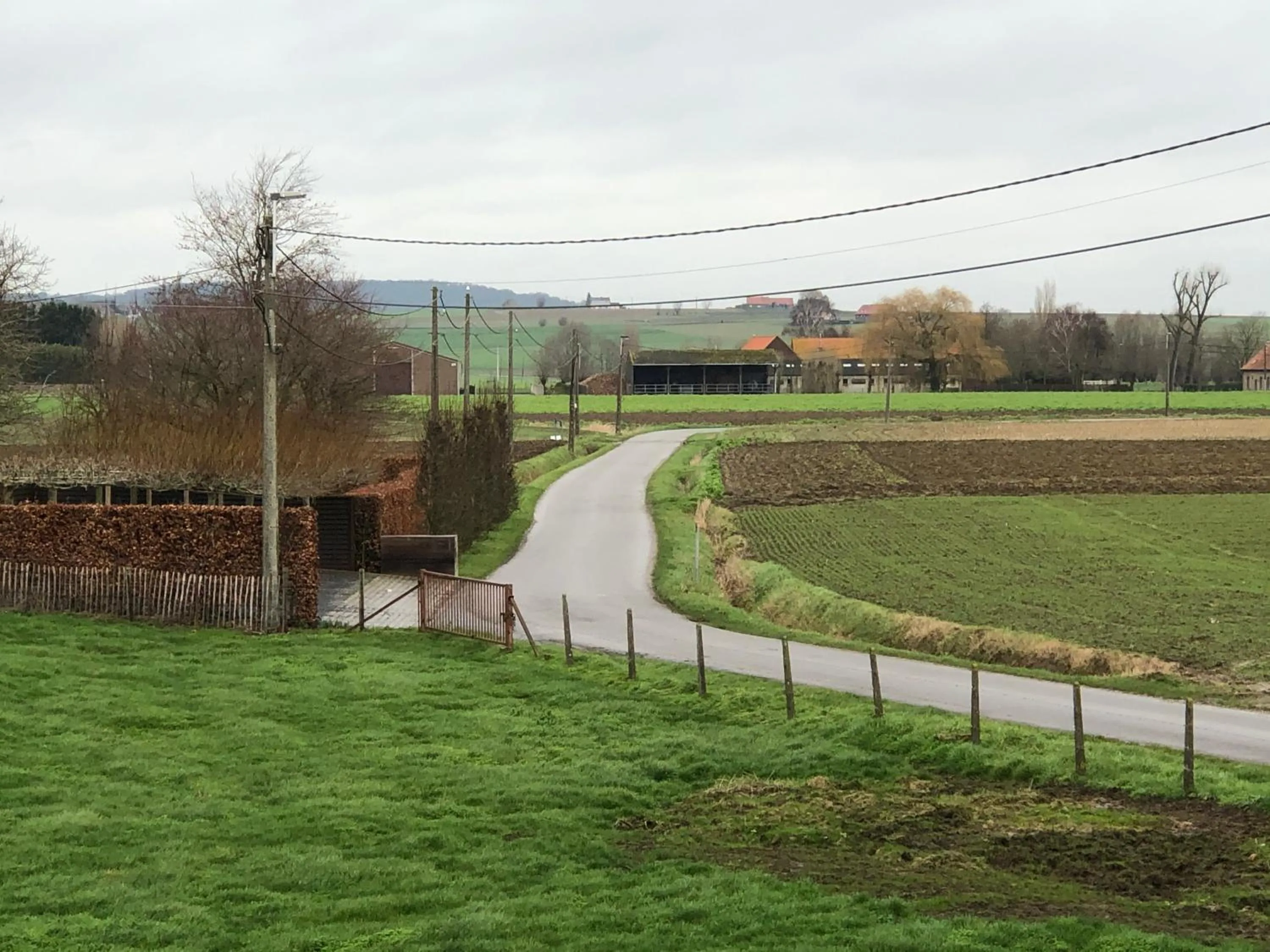 'T Wolvennest
