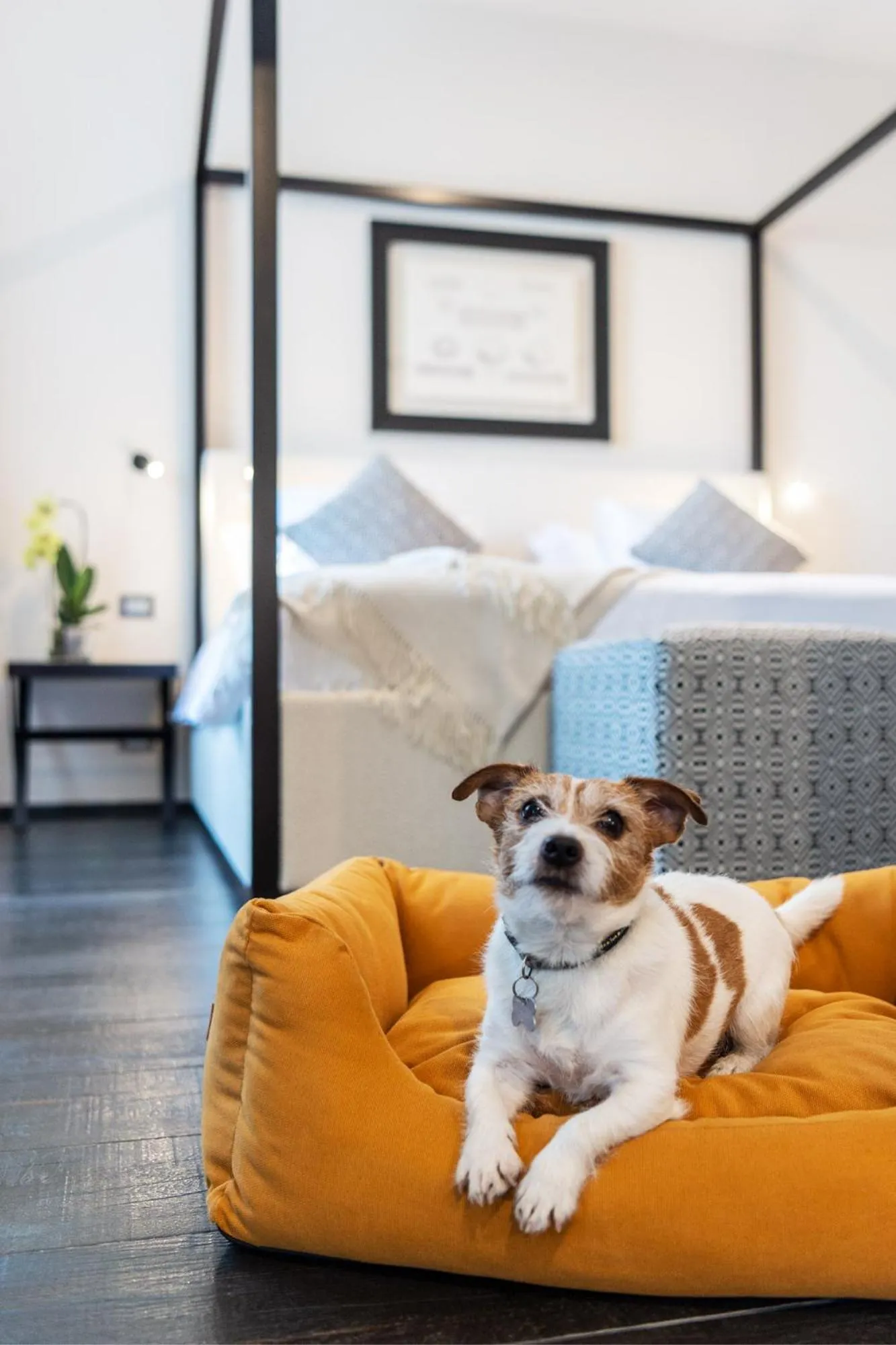 Bed in Terme di Relilax Boutique Hotel & Spa