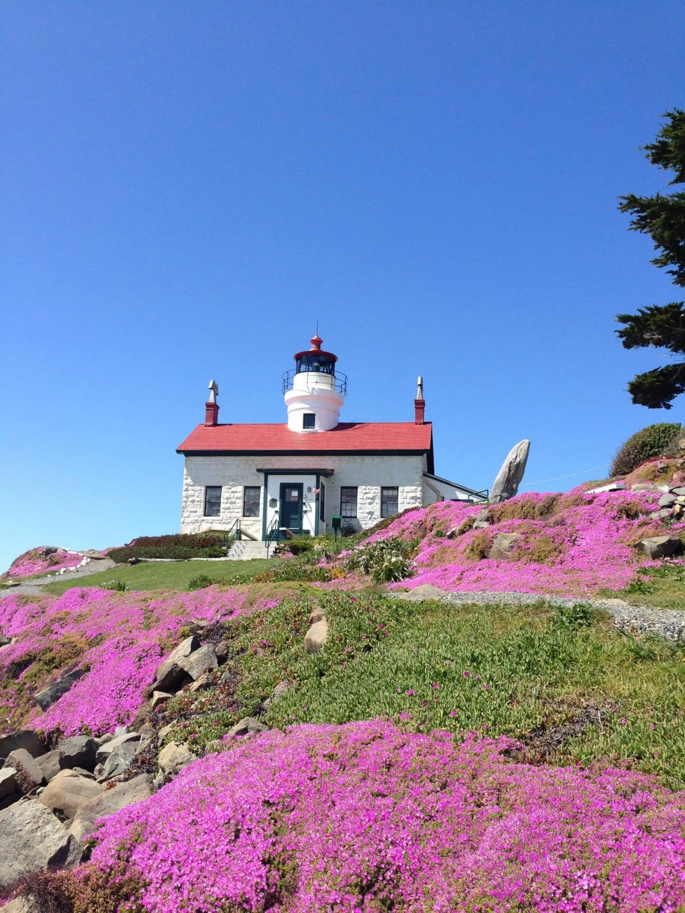 Area and facilities in Redwood Inn