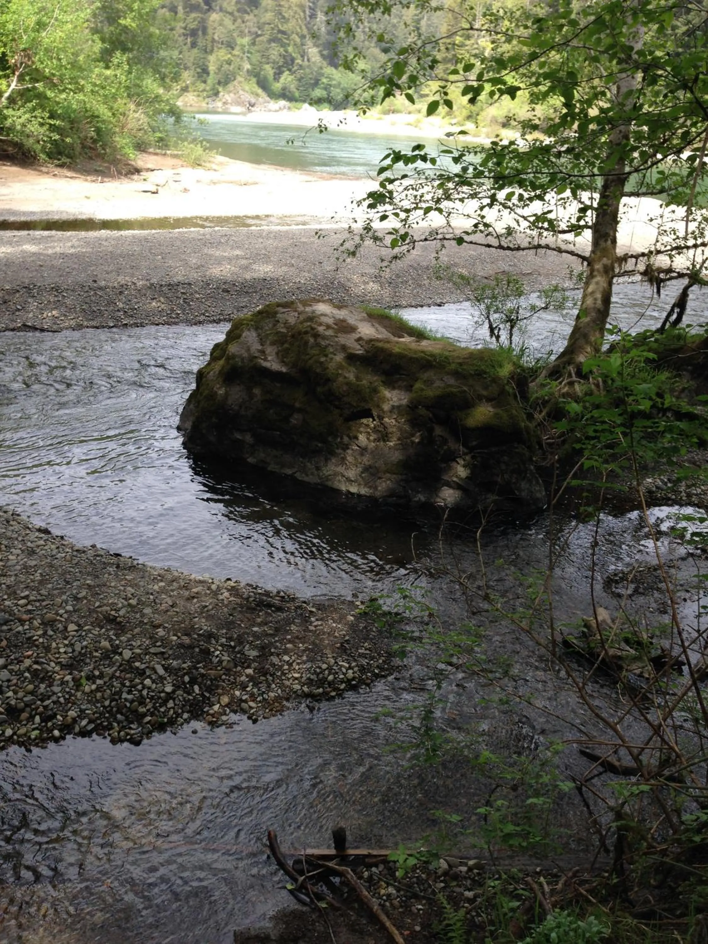 Area and facilities in Redwood Inn