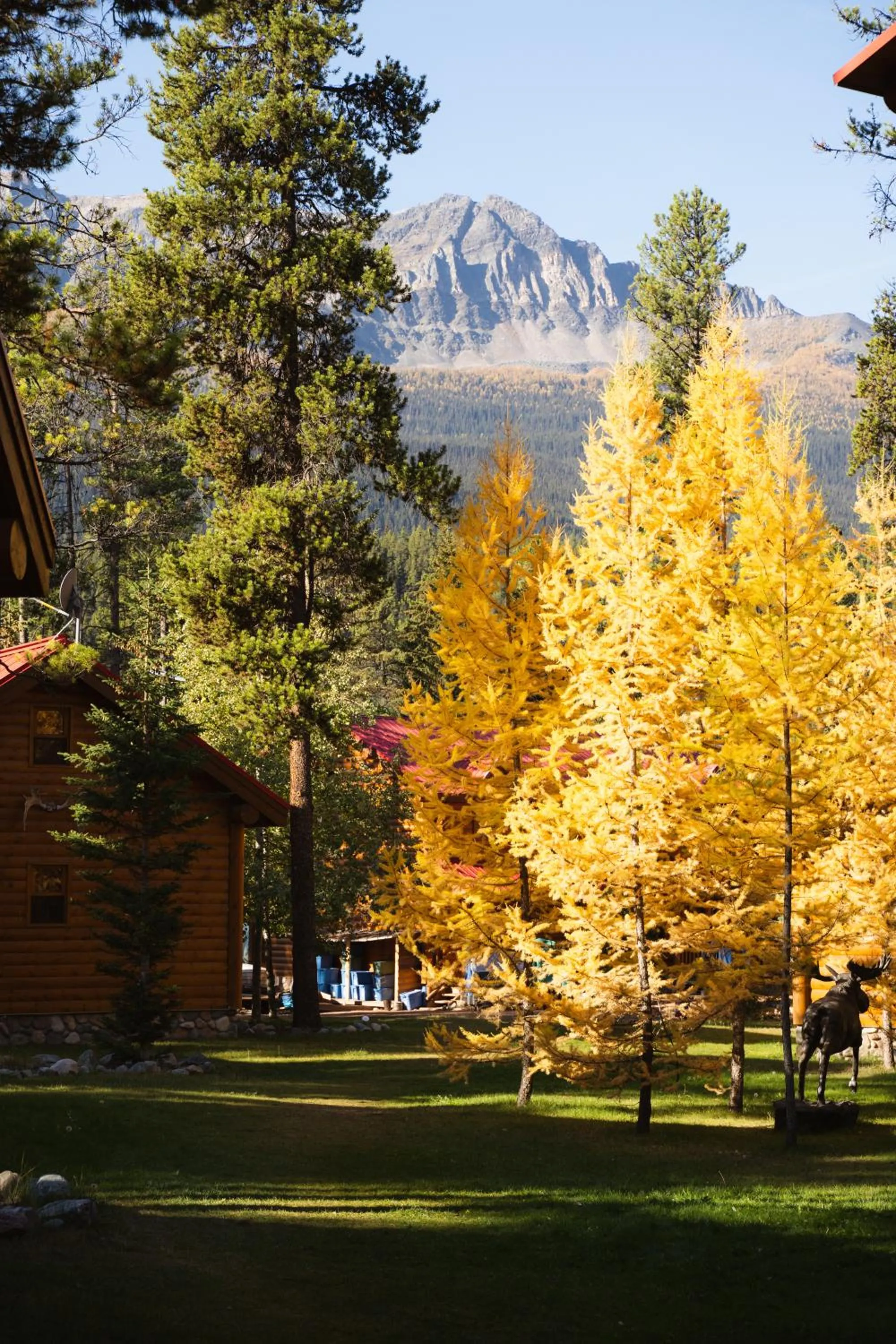 Property building in Baker Creek By Basecamp