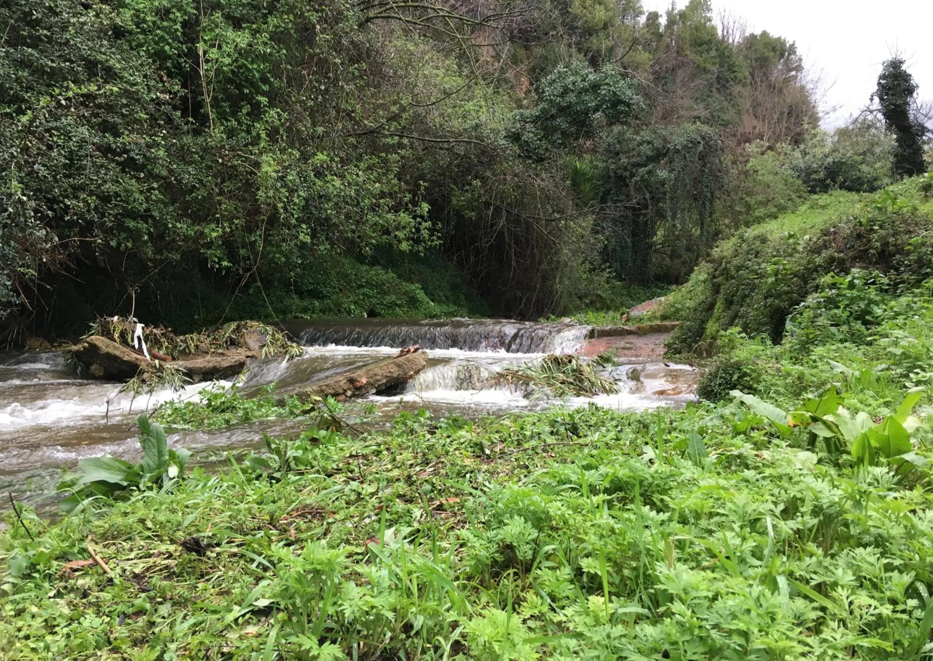 Natural landscape in La Fabbrica