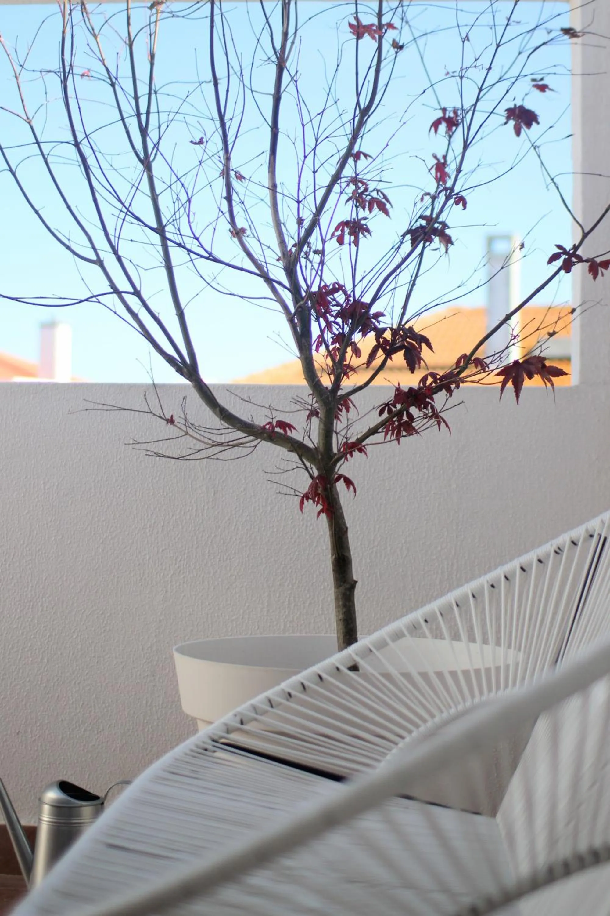 Natural landscape in Vila Mafra - Grill Terrace