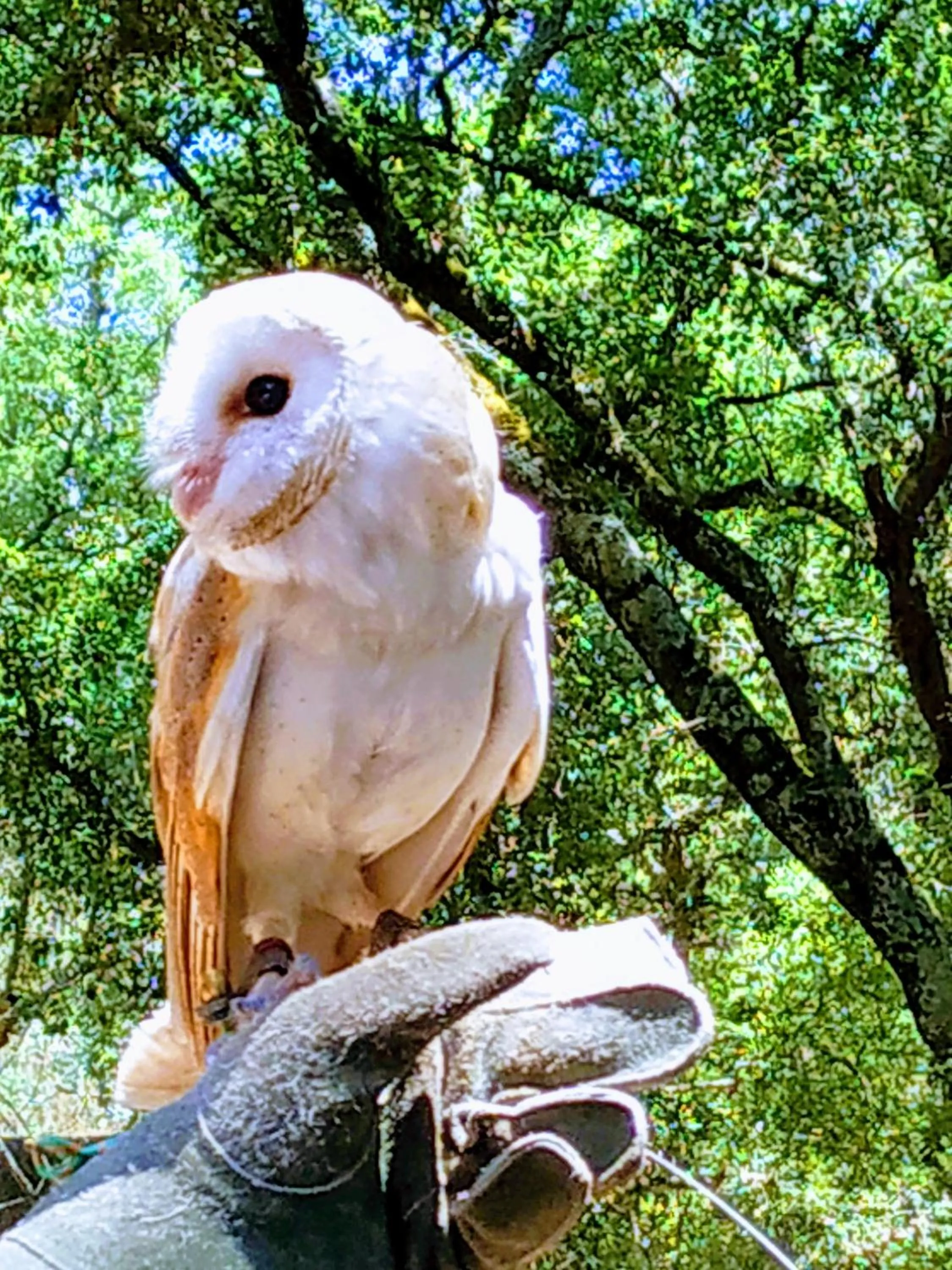Off site in Vila Mafra - Grill Terrace