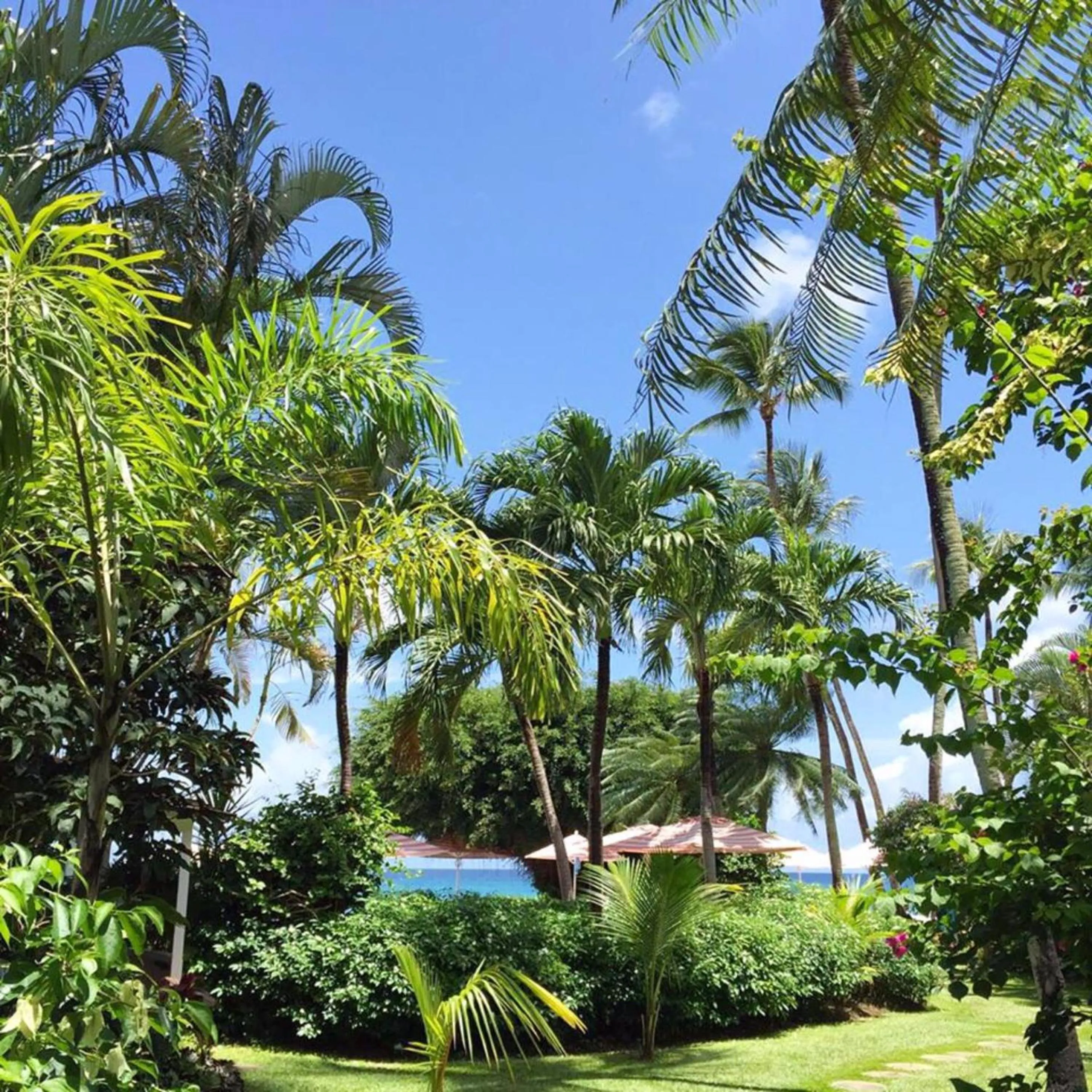 Garden in Cobblers Cove - Barbados