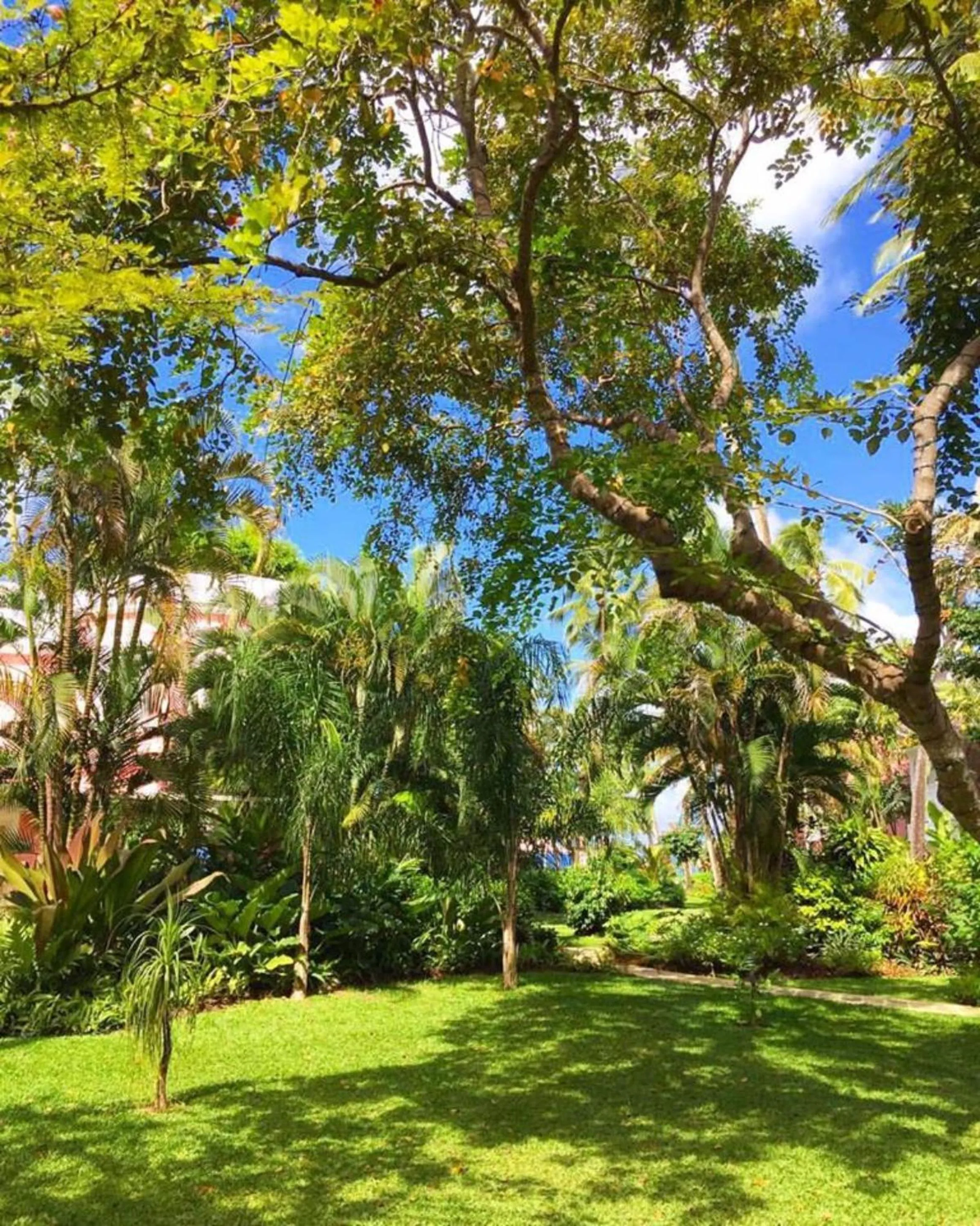 Garden in Cobblers Cove - Barbados