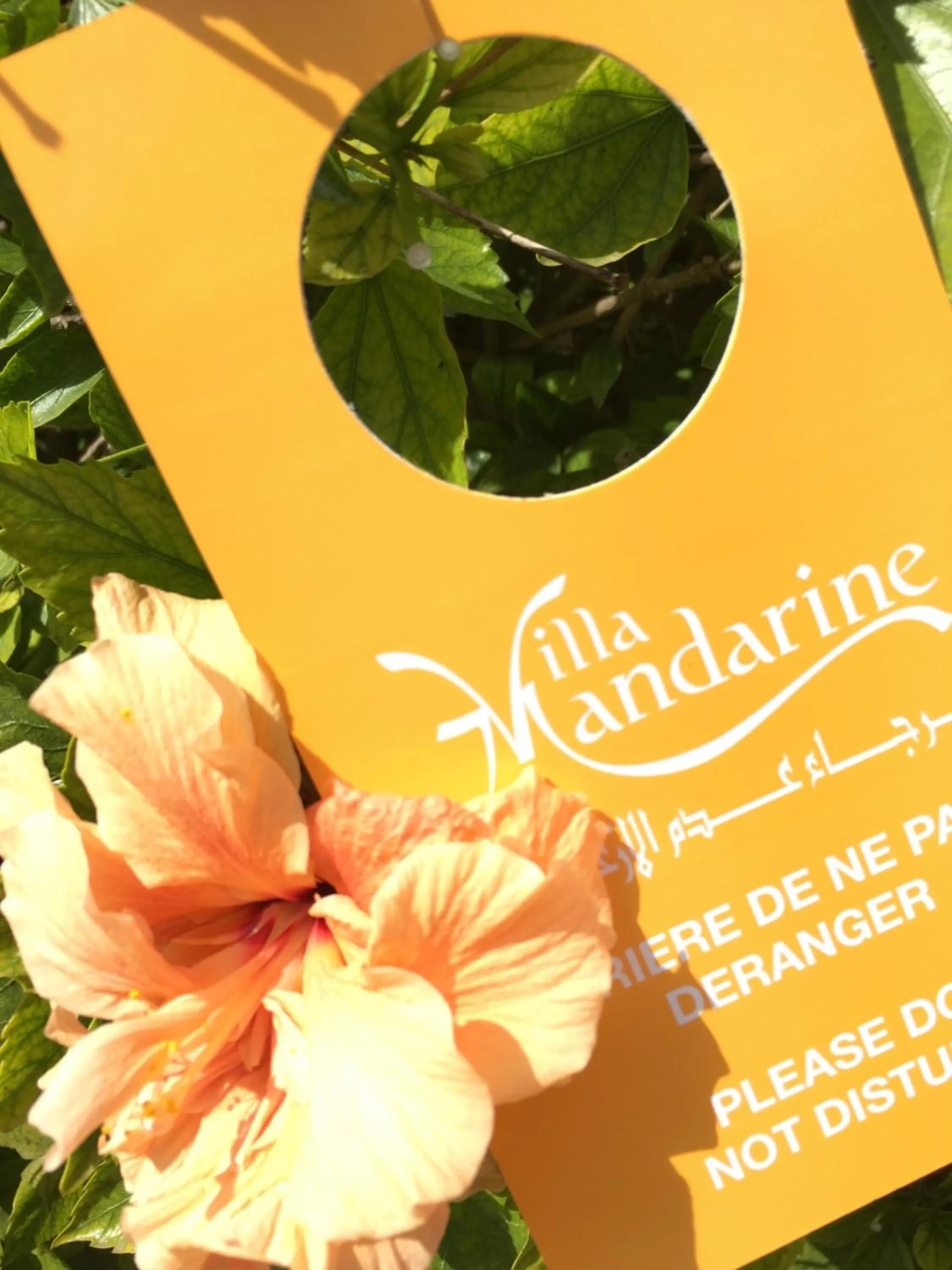 Decorative detail in La Villa Mandarine