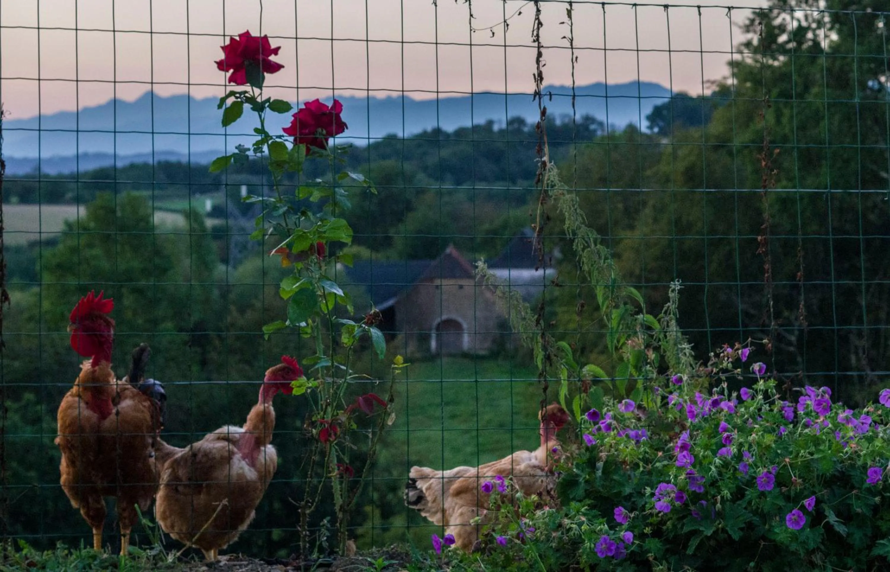Natural landscape in Pesaulhé