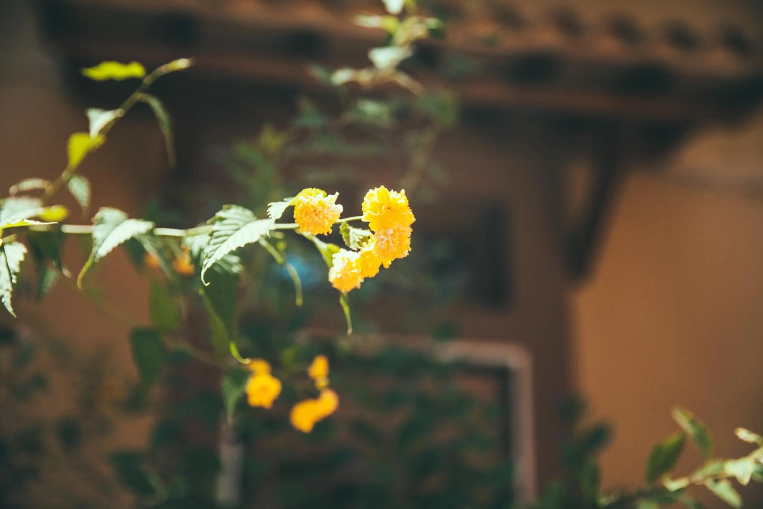 Lighthouse Suites Trastevere