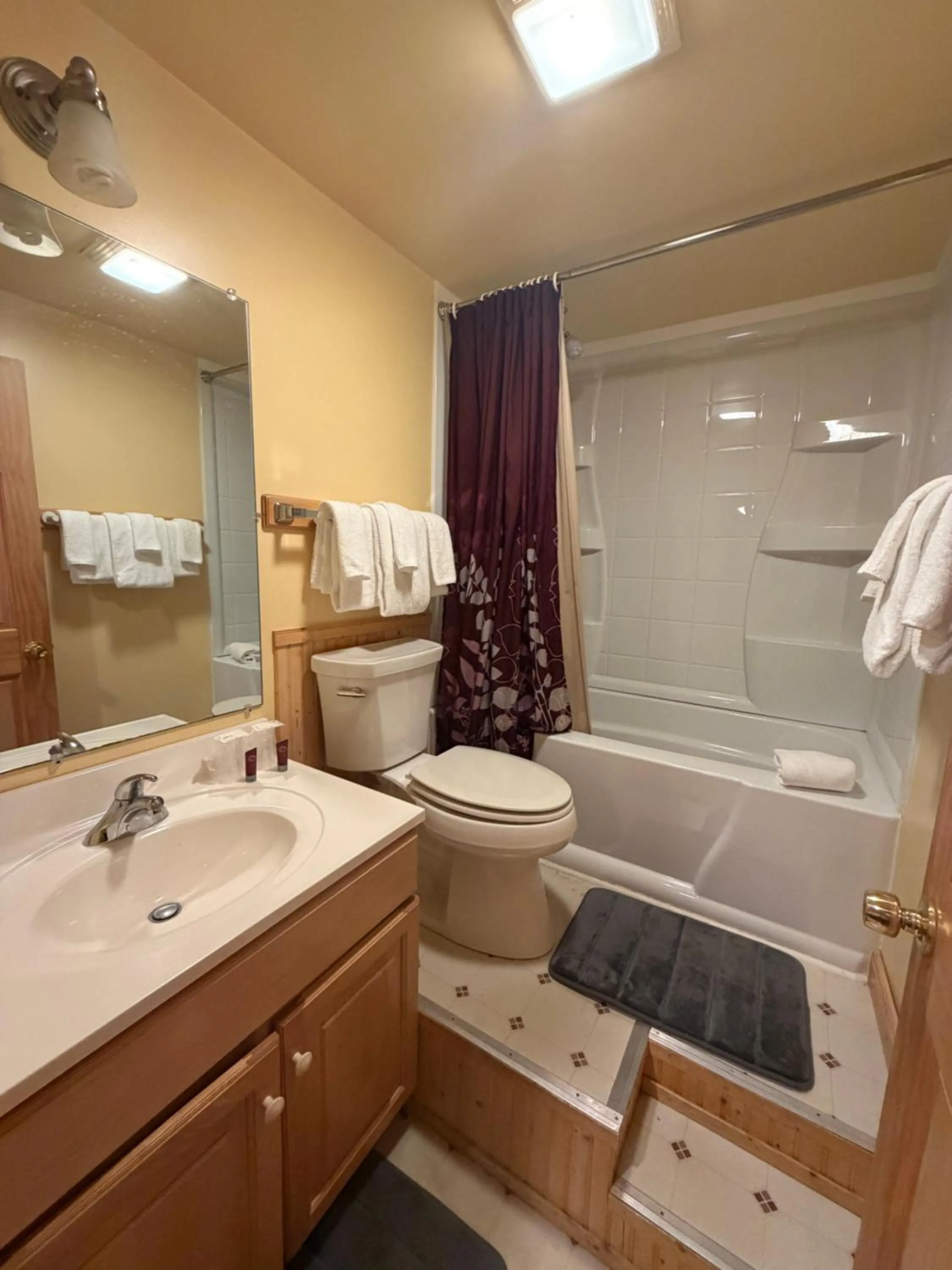 Shower in Mountain Sports Inn