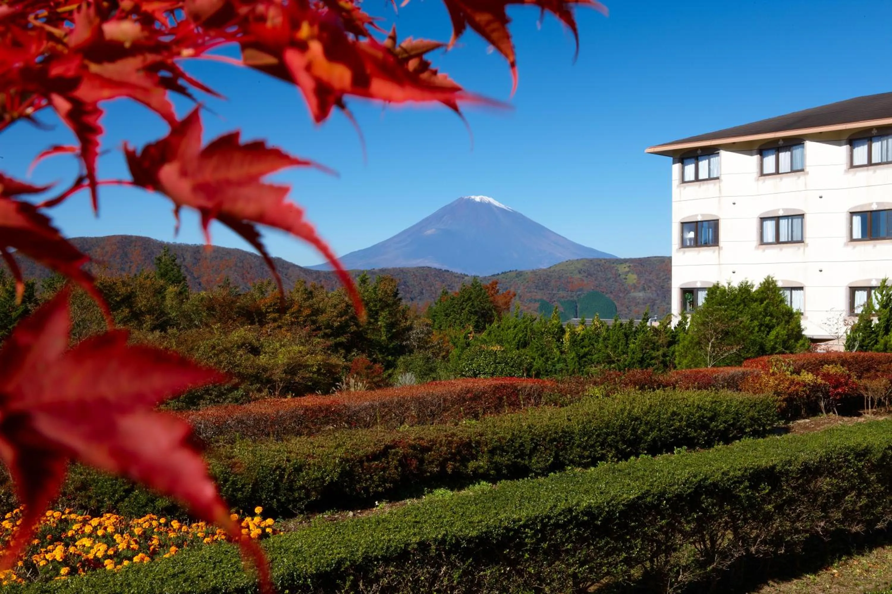 Nearby landmark in Hotel Green Plaza Hakone