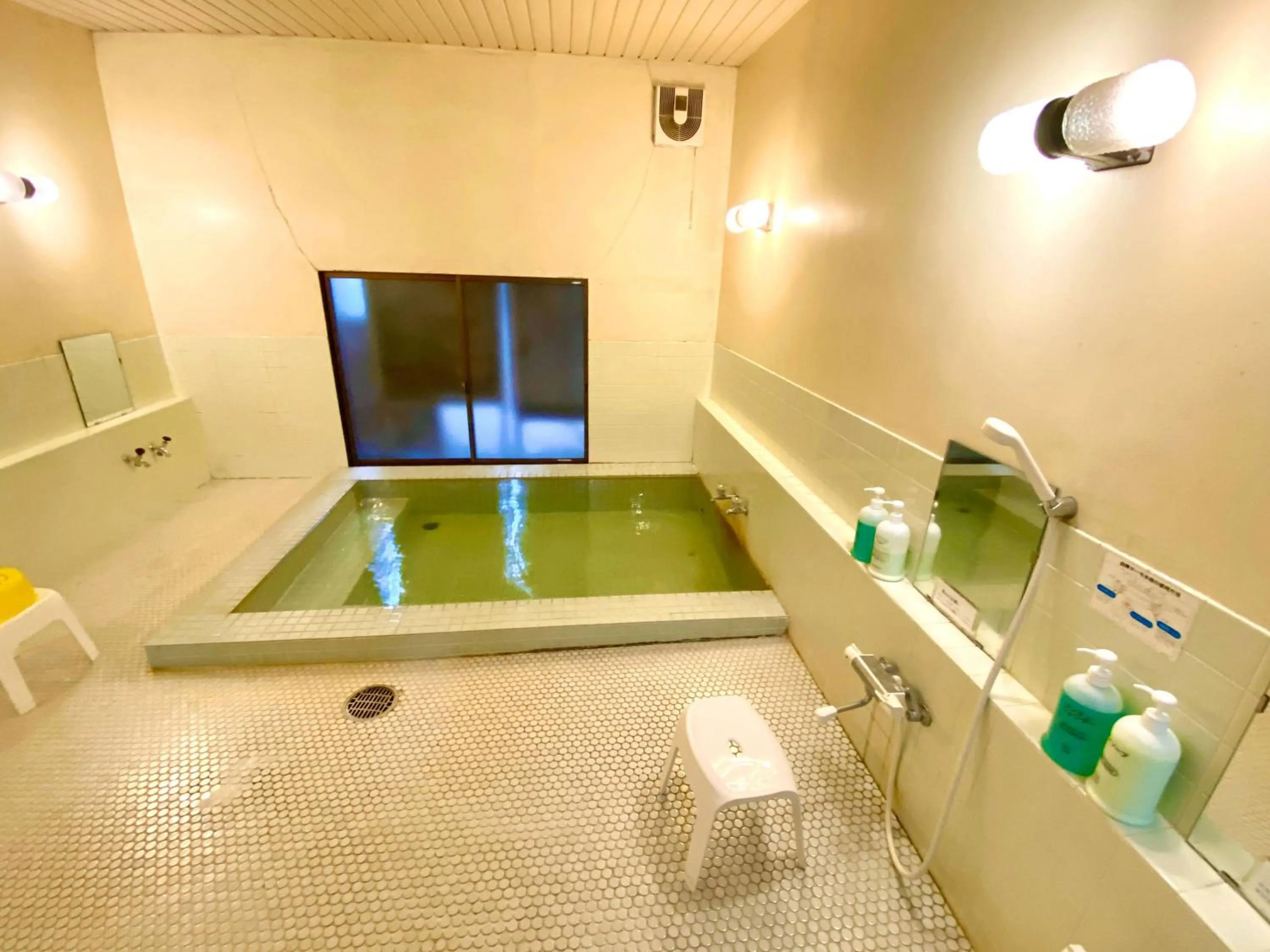 Public Bath in Hakuba Park Hotel