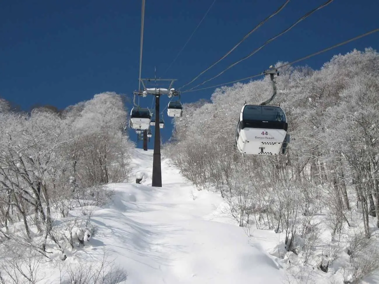 Skiing in Hakuba Park Hotel