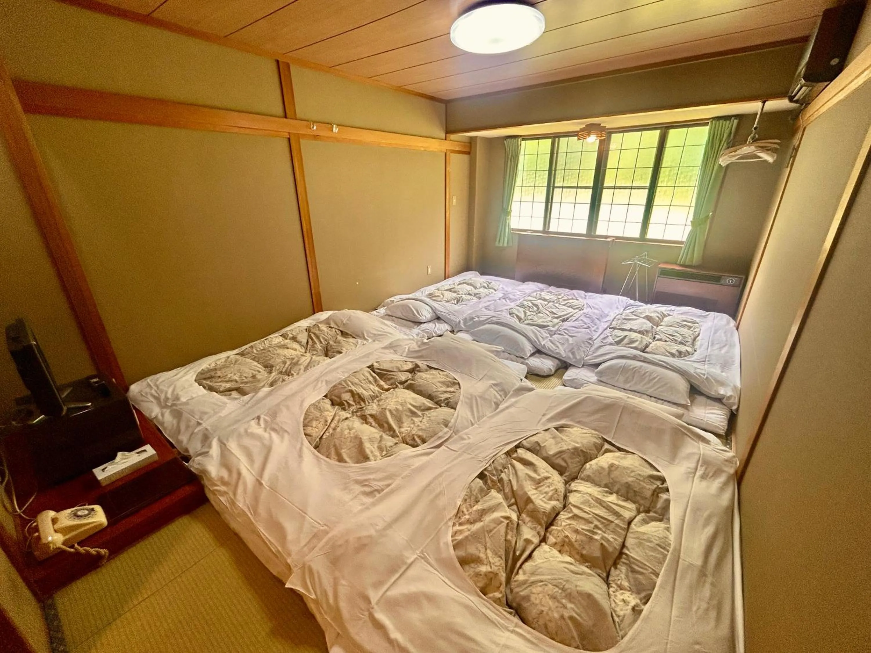 Photo of the whole room, Bed in Hakuba Park Hotel