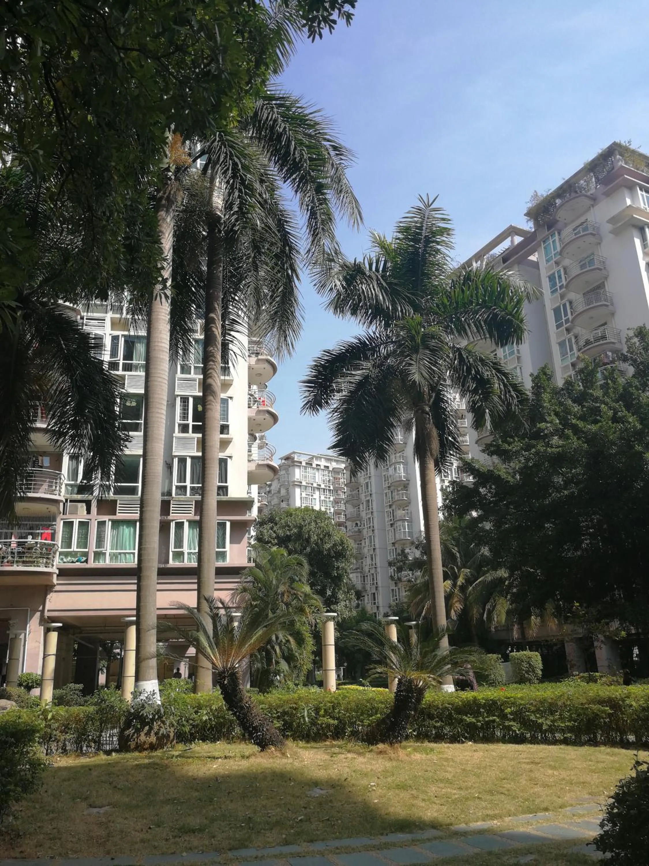 Property building in Shenzhen New Swan Castle Apartment