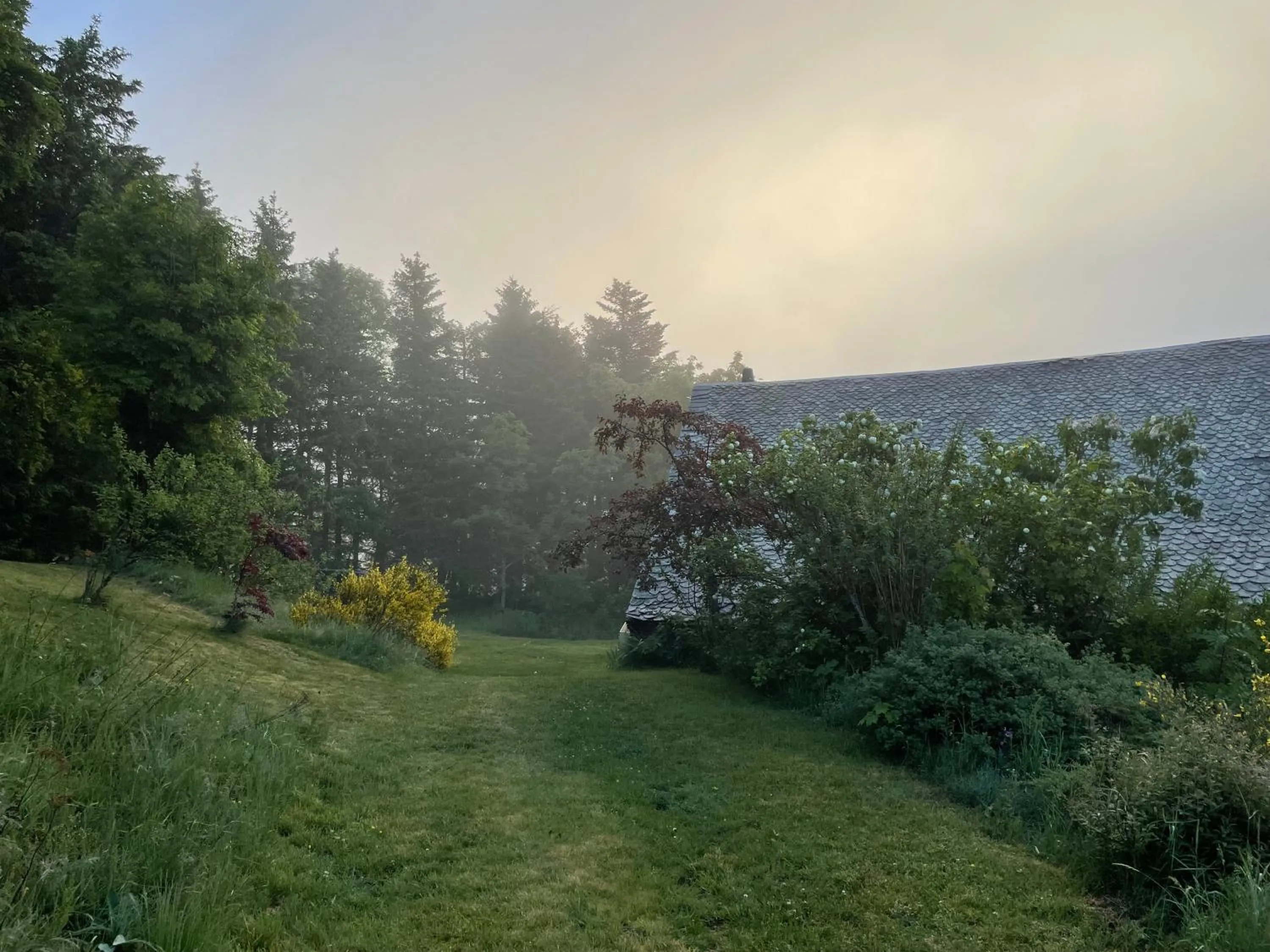 Garden in La Domerie - Maison d'hôtes