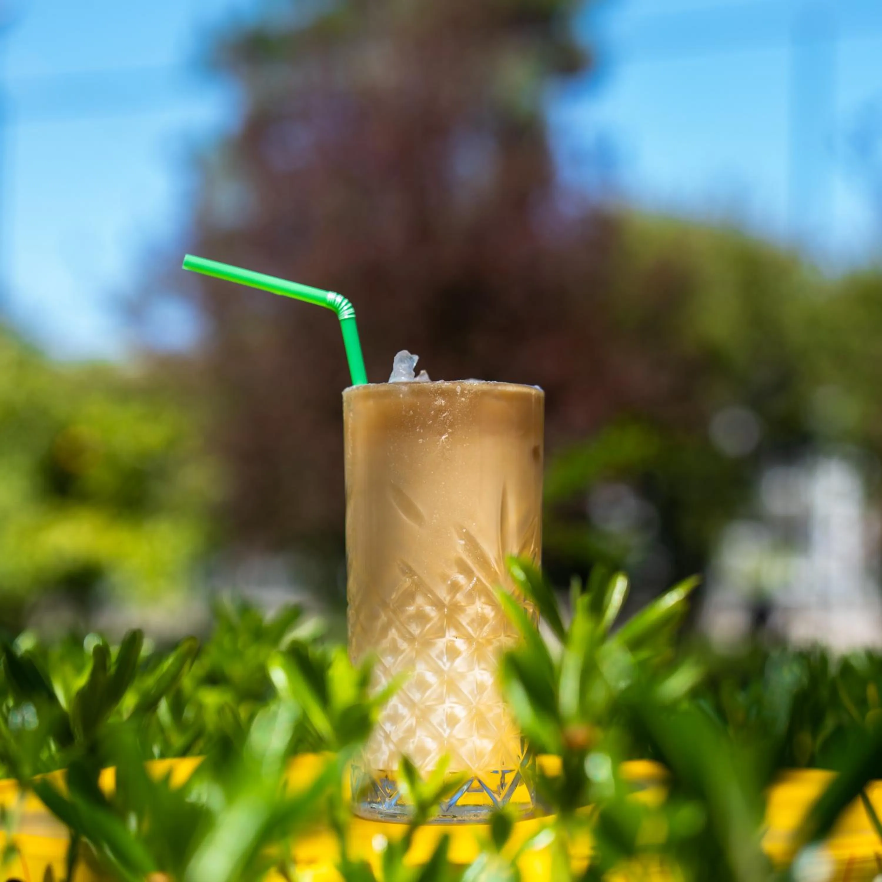 Garden in Eldar Resort Hotel