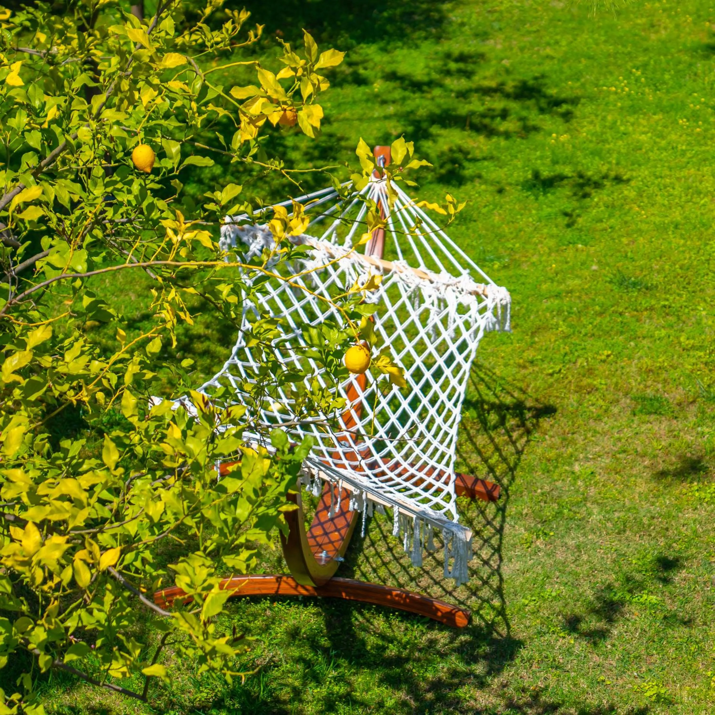 Garden in Eldar Resort Hotel