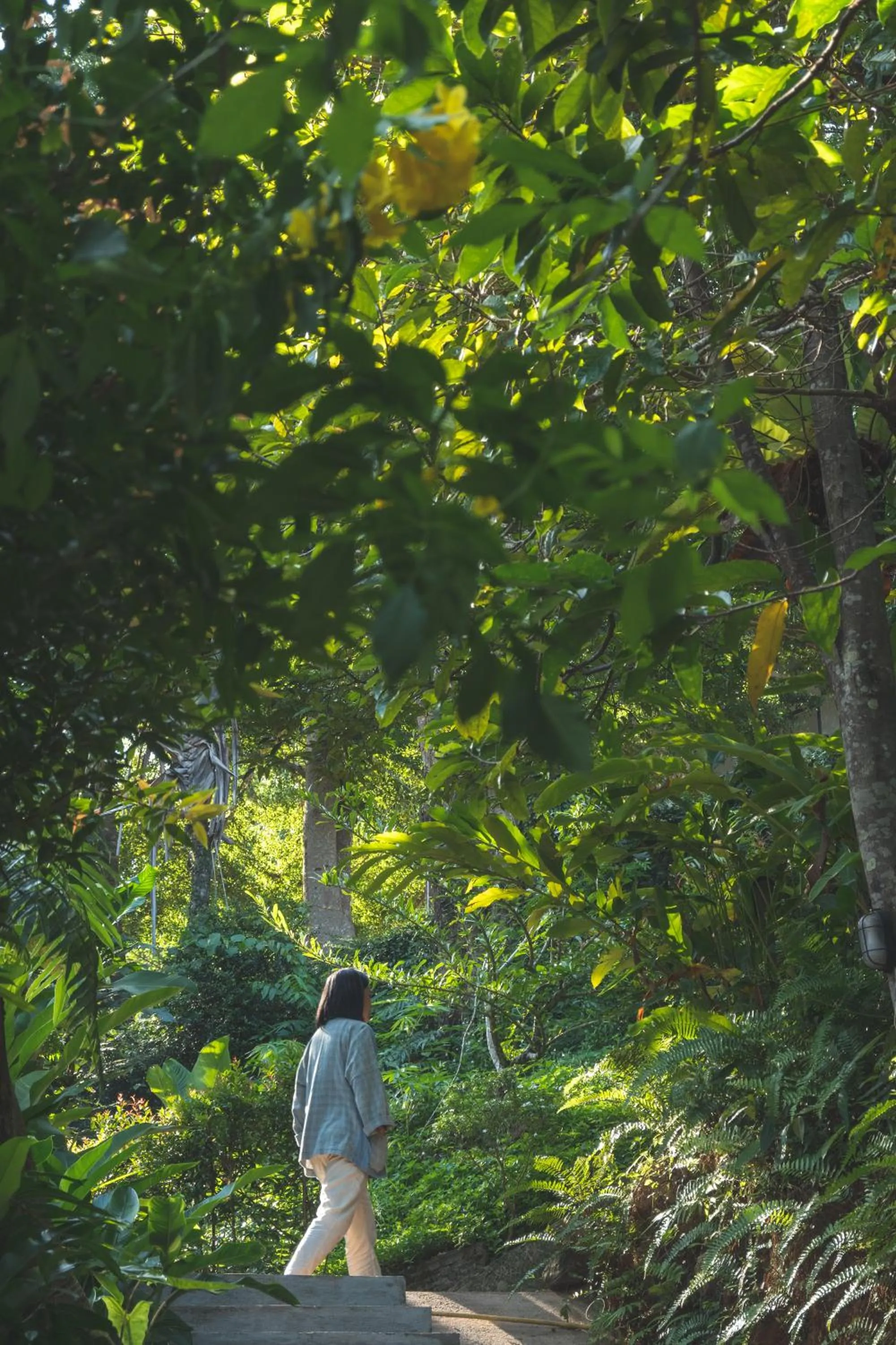 Day in Bhuvarin Resort