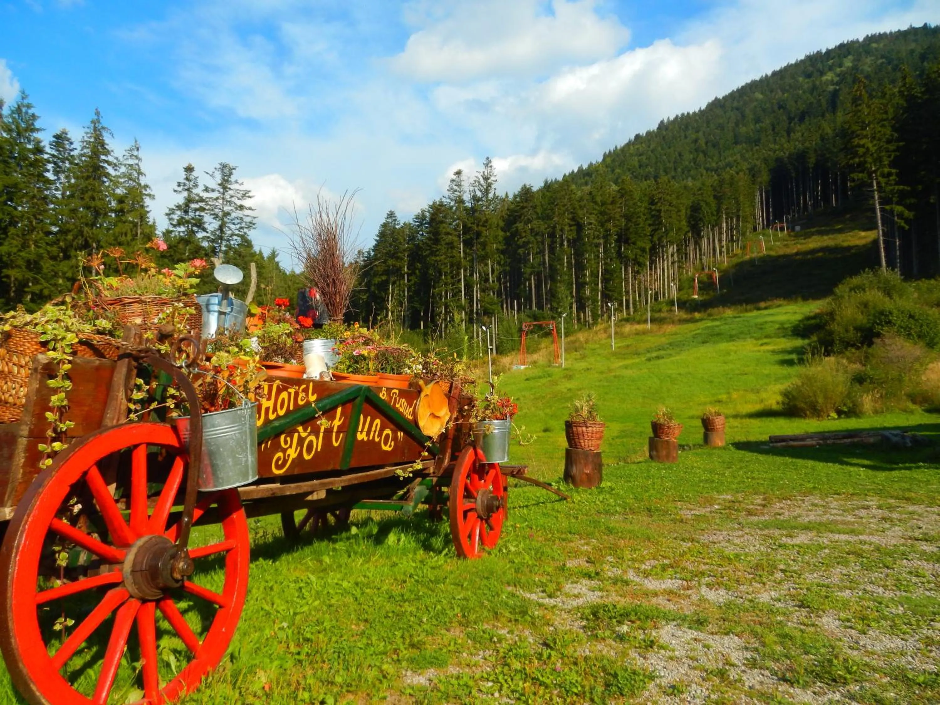 Decorative detail in Fortuna Eco - Boutique Hotel
