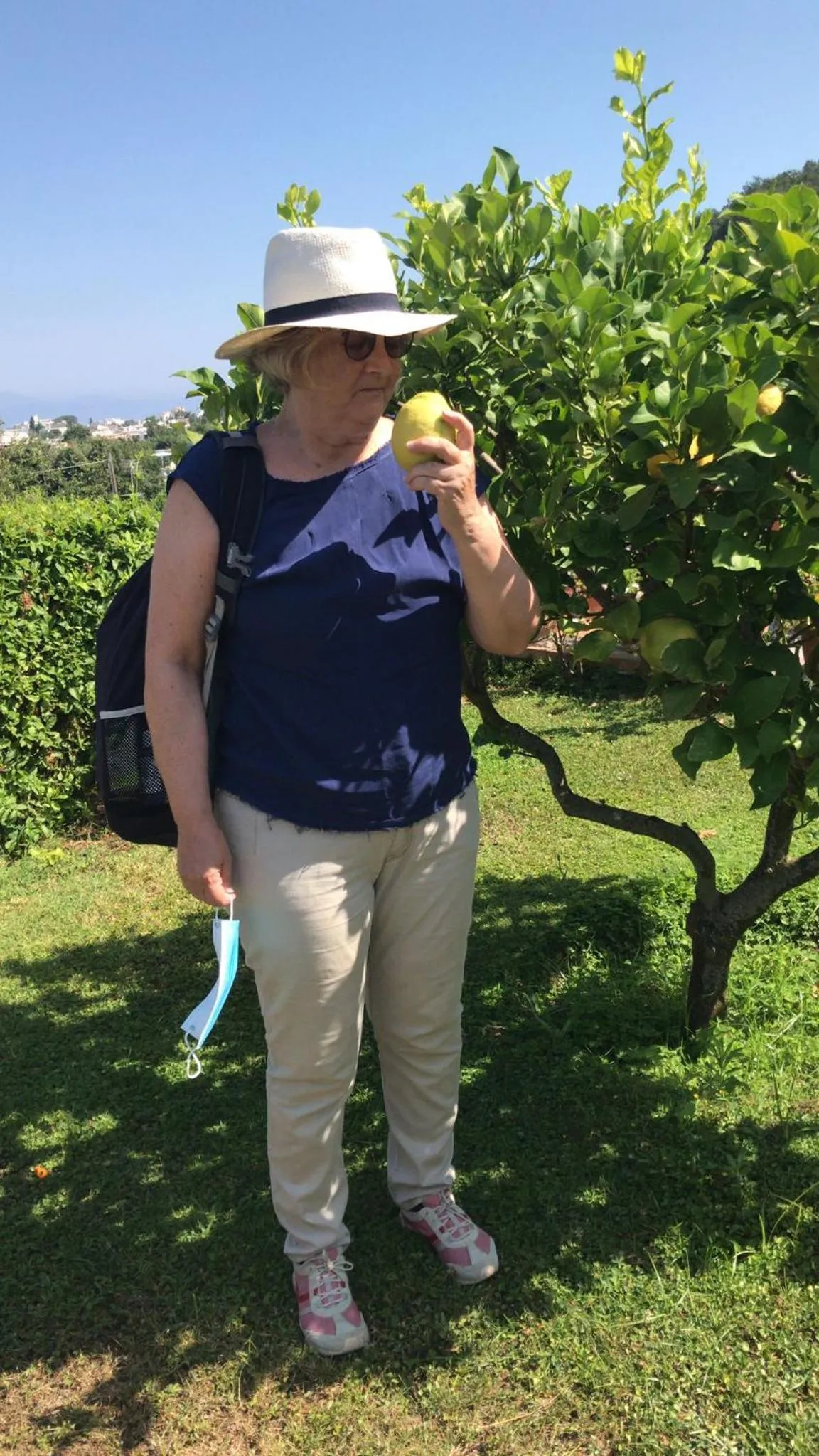 Garden in B&B The Sunset