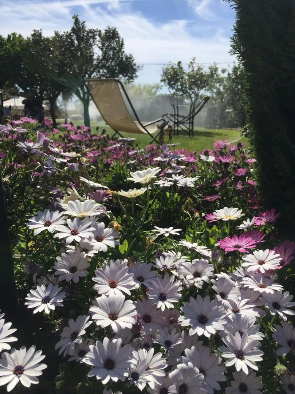 Garden in B&B The Sunset