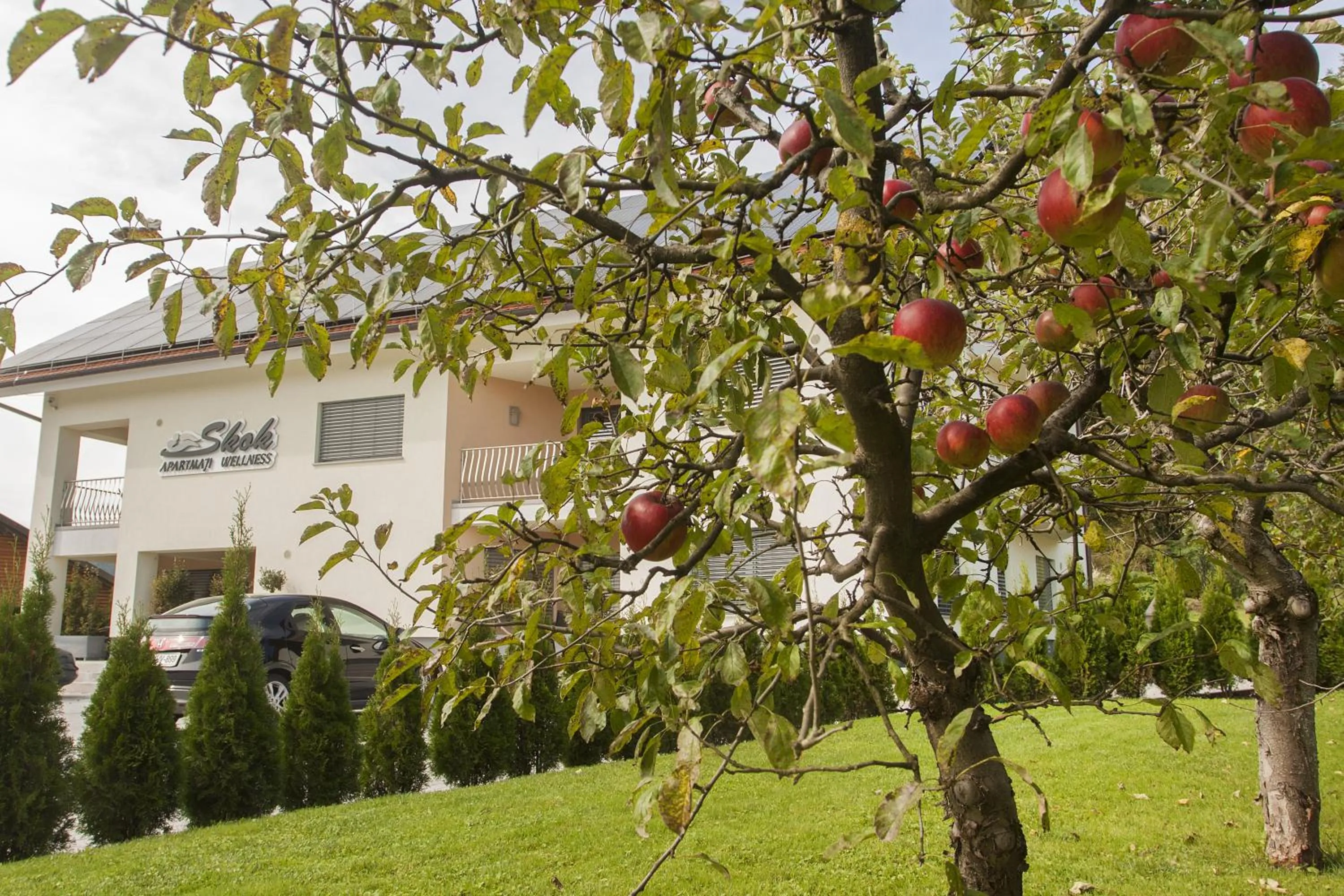 Garden in Apartments & Wellness Skok