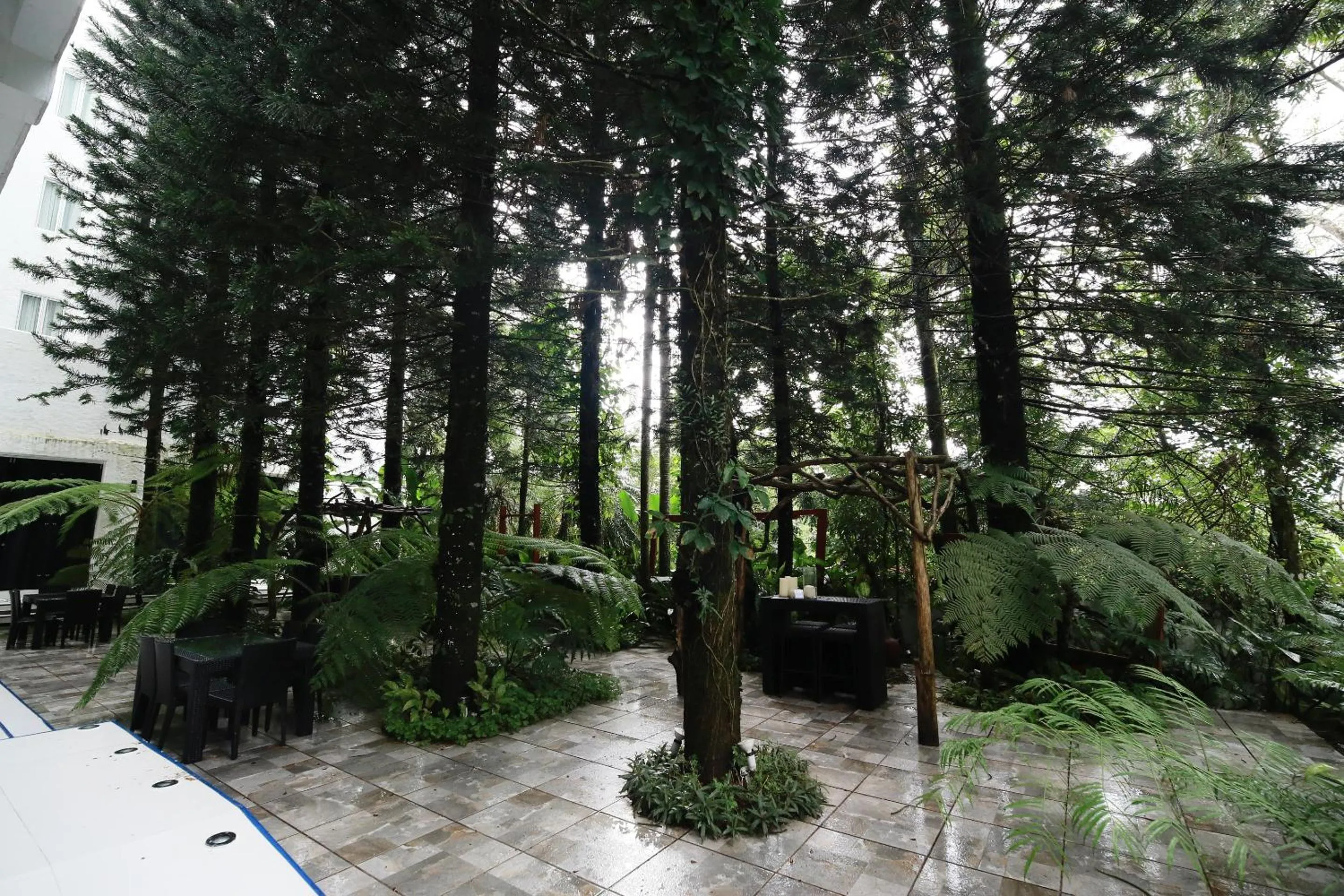 Patio in La Bella Boutique Hotel