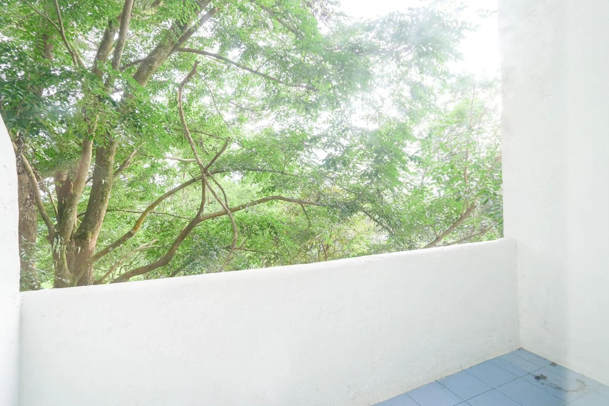 Natural landscape in La Bella Boutique Hotel