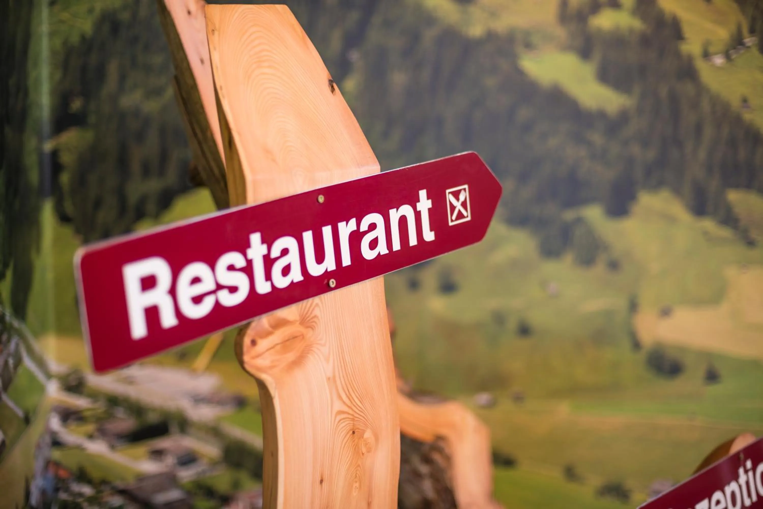 Hotel - Restaurant Platzwirt