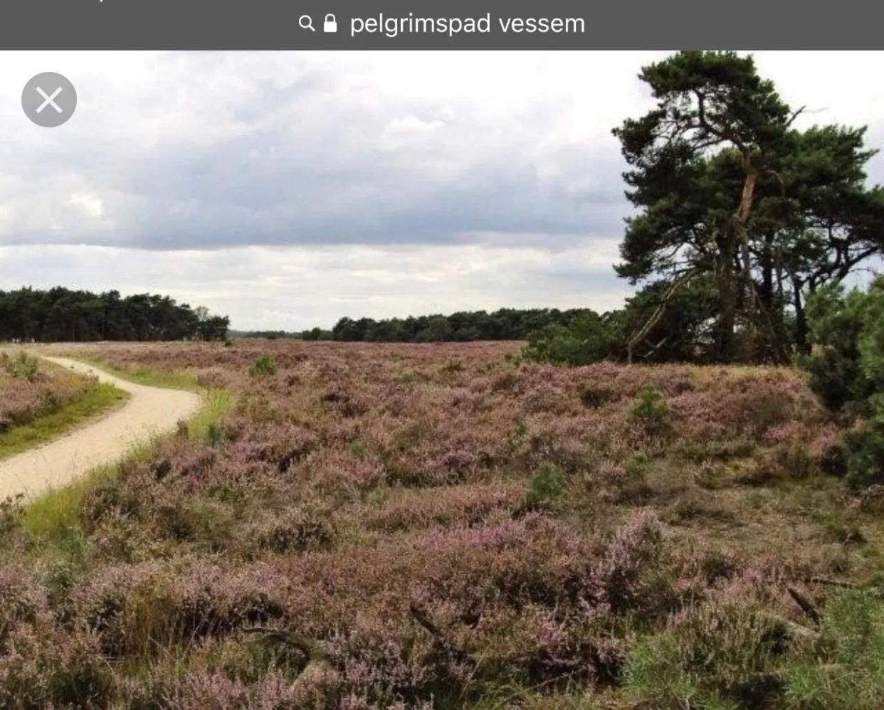 Hiking in B & B De Stijl