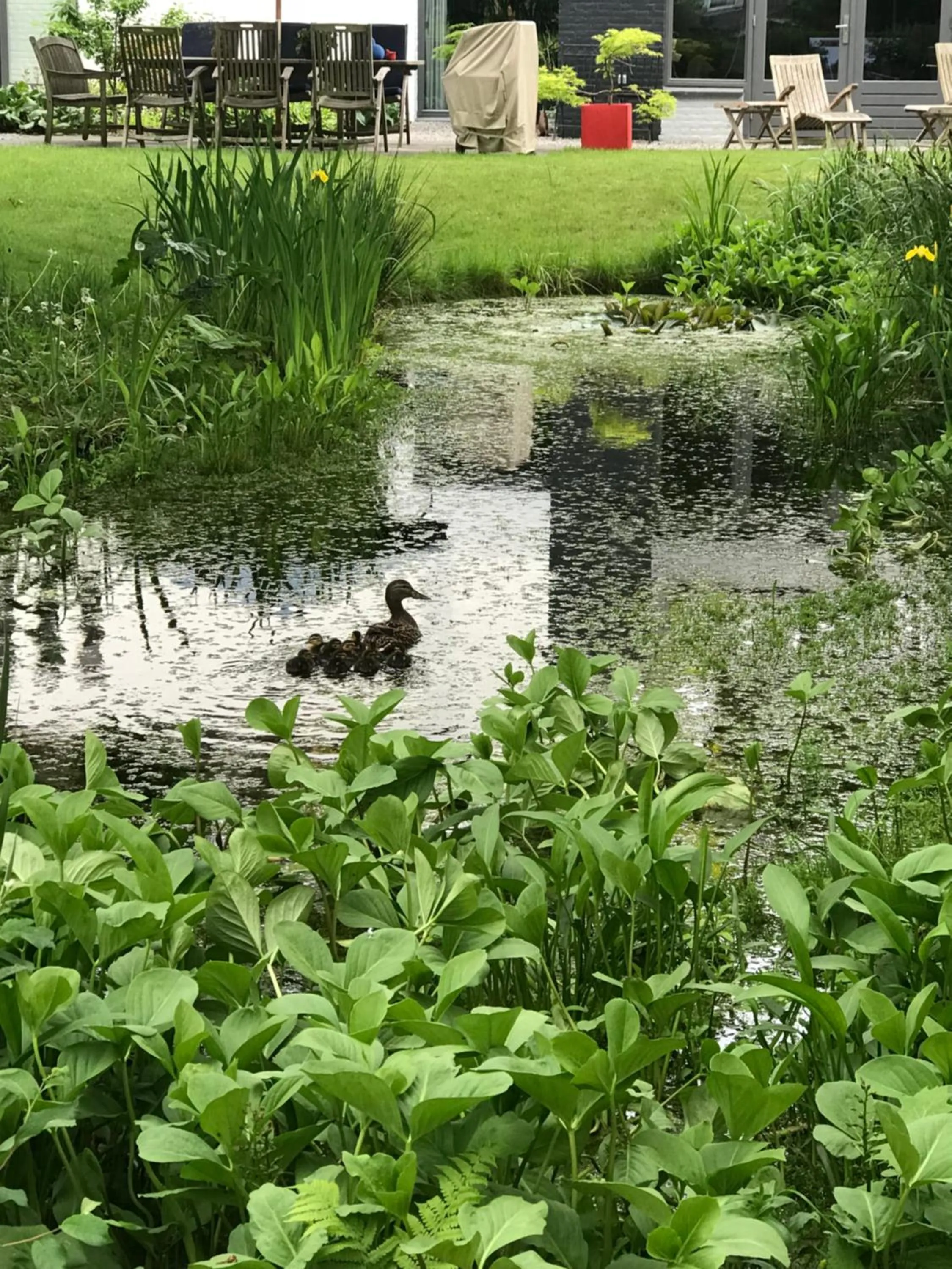 Garden in B & B De Stijl
