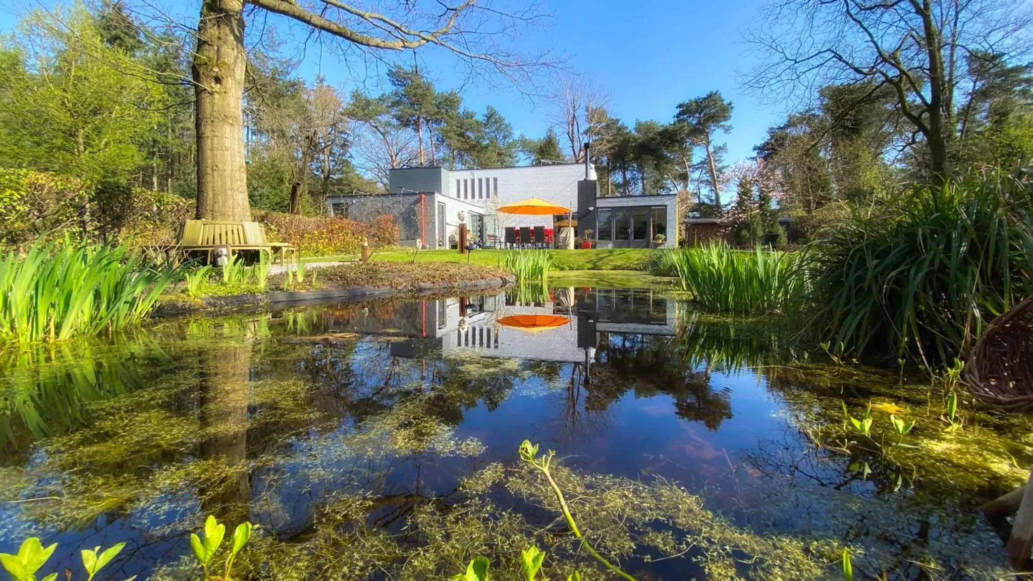 Garden in B & B De Stijl