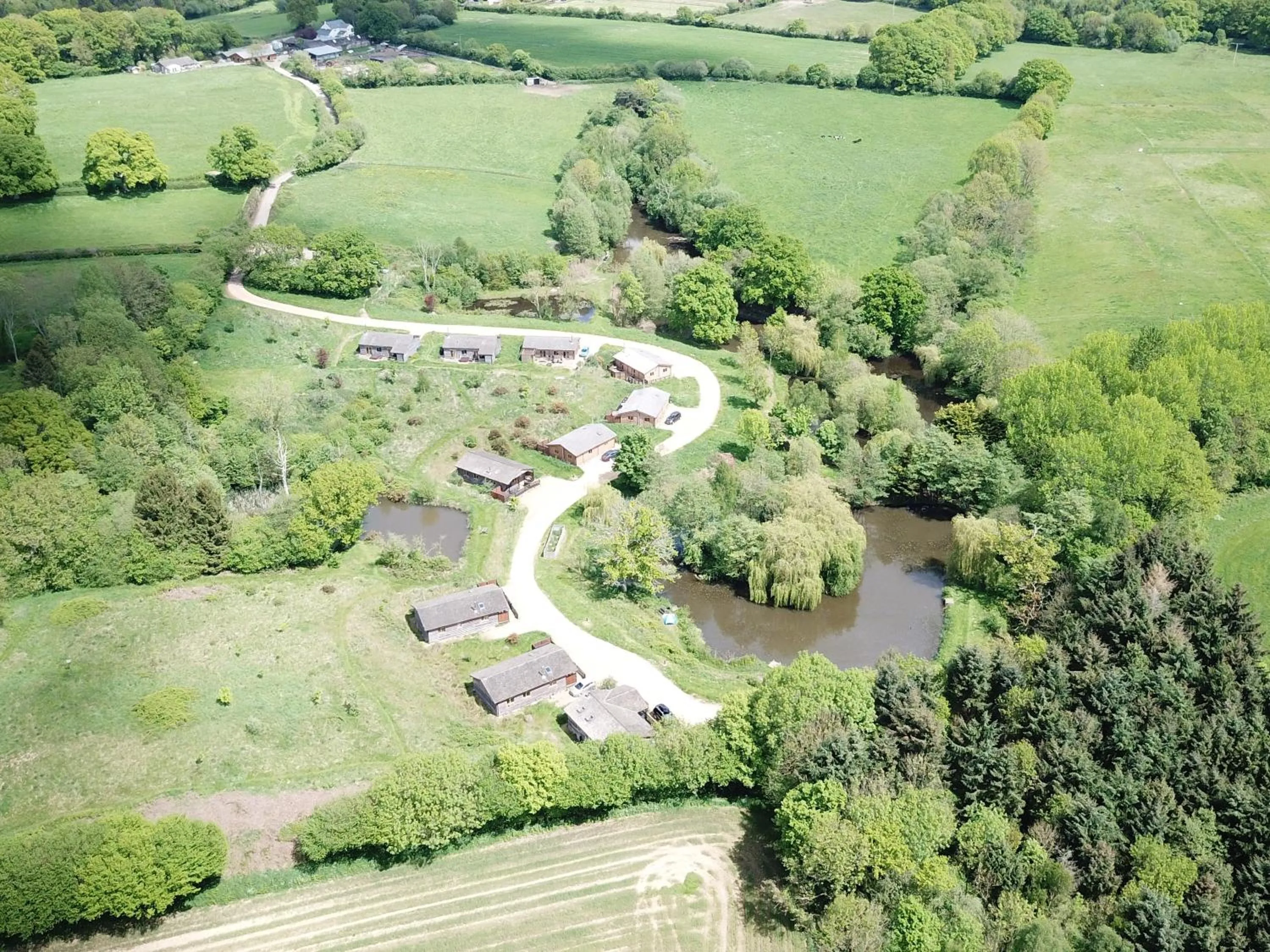 View (from property/room) in New Forest Lodges