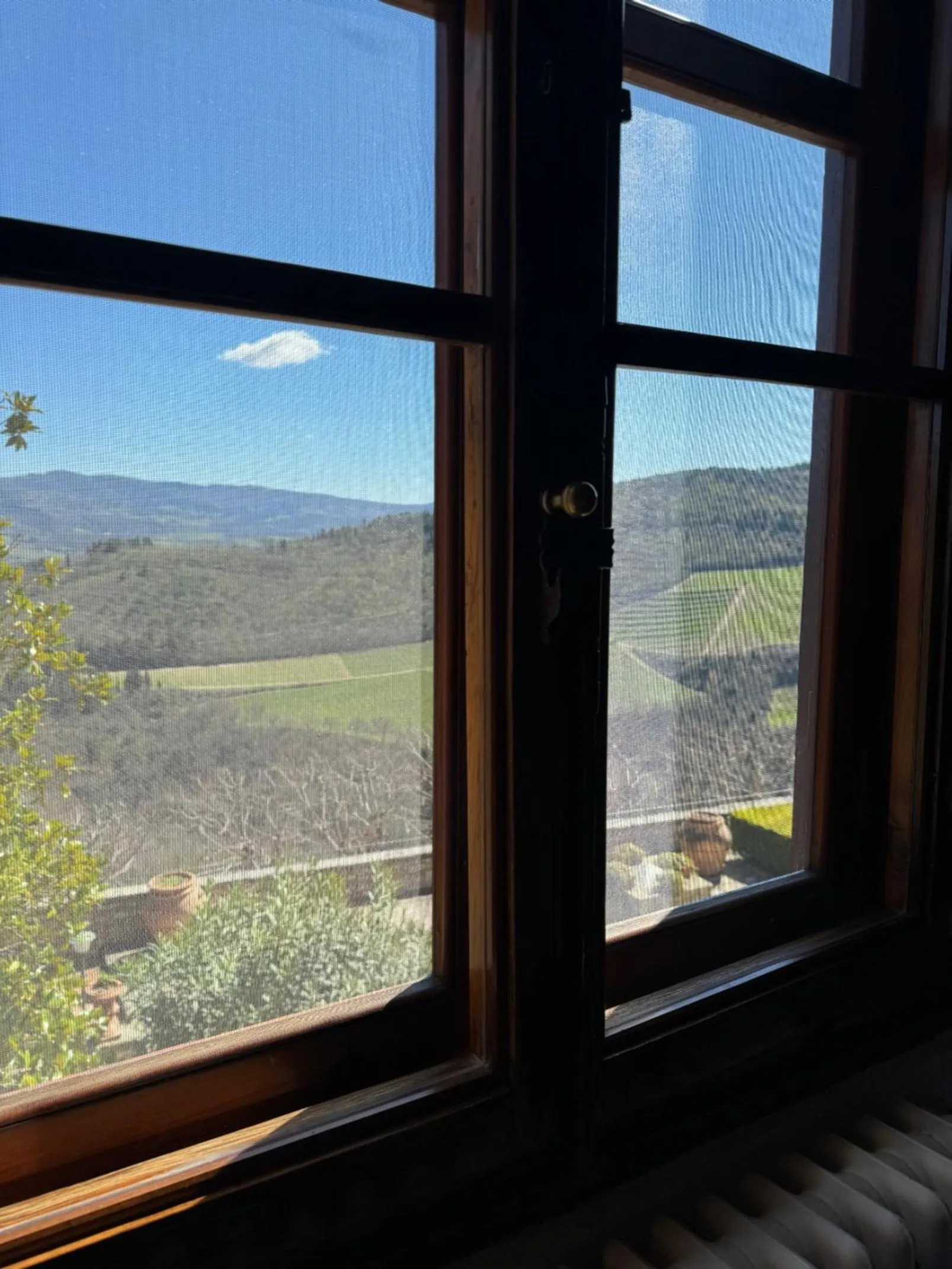 View (from property/room) in Castello Vicchiomaggio